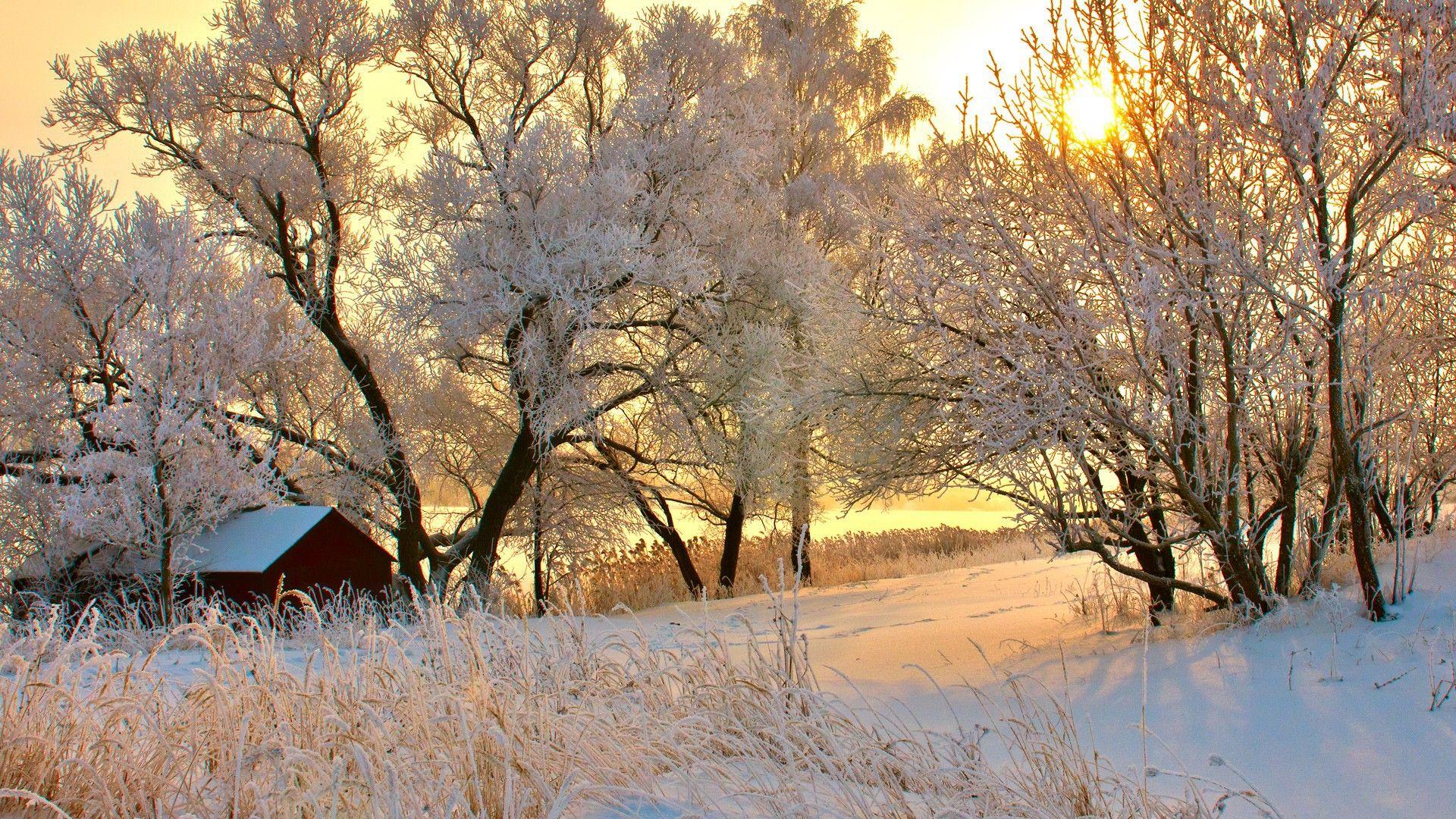 1920x1080 Winter sunset in Romania wallpaper and image