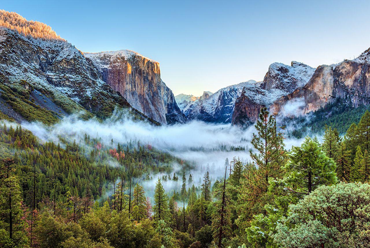 1280x860 Wallpaper Yosemite USA Spruce Winter Nature Mountains Parks