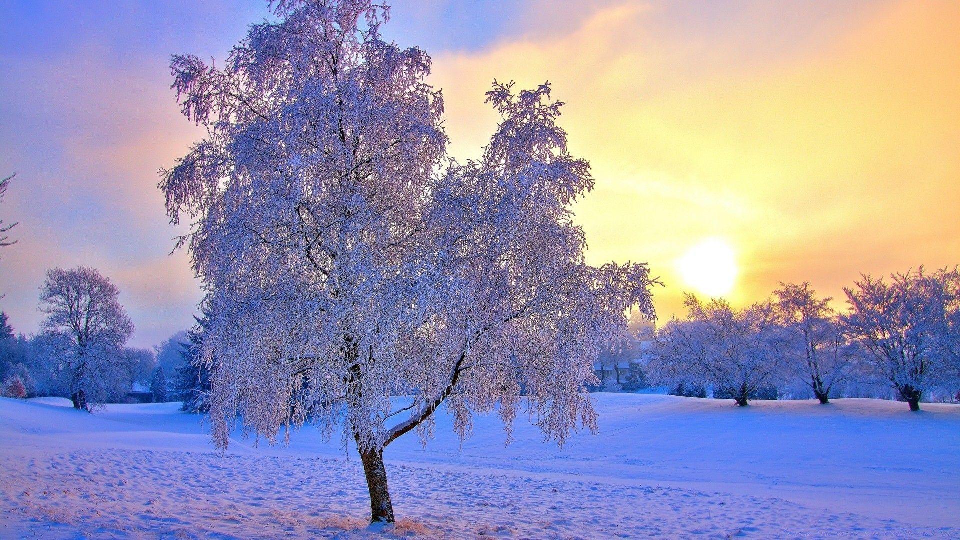 1920x1080 Colored Winter Sunset