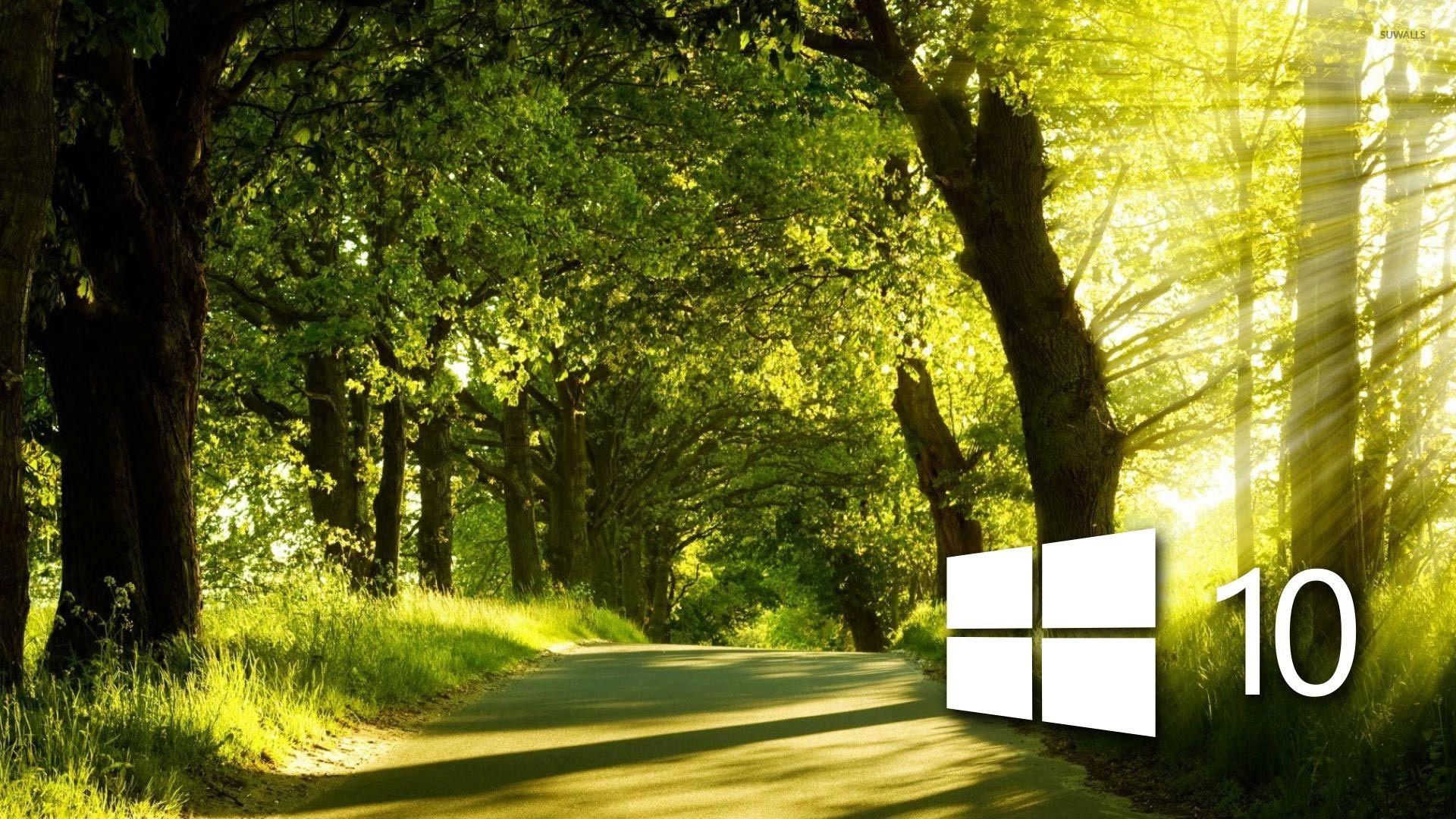 Forest windows. Фон для рабочего стола. Фон рабочего стола Windows. Фон для рабочего стола природа. Красивые обои для Windows 10.