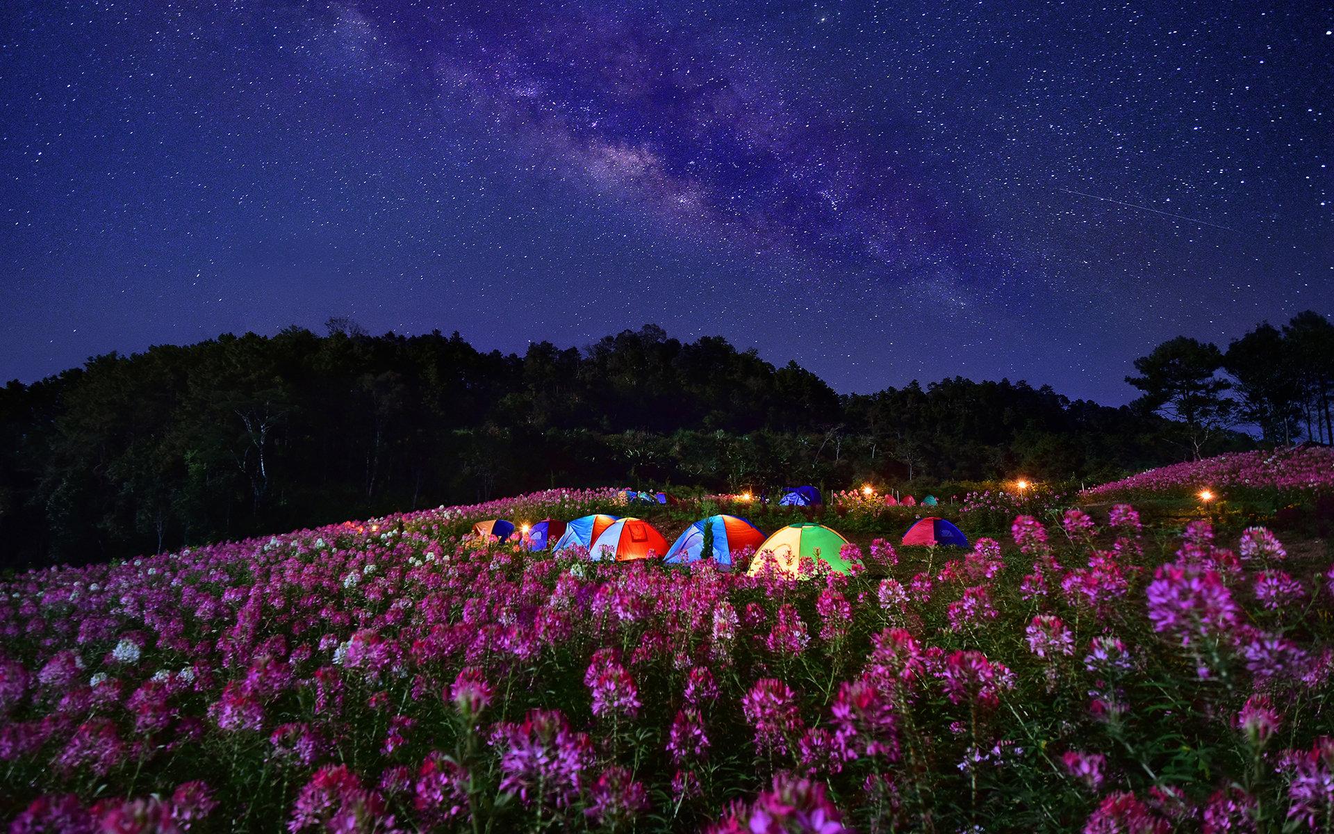 1920x1200 Camping wallpaper 1920x1200 desktop background