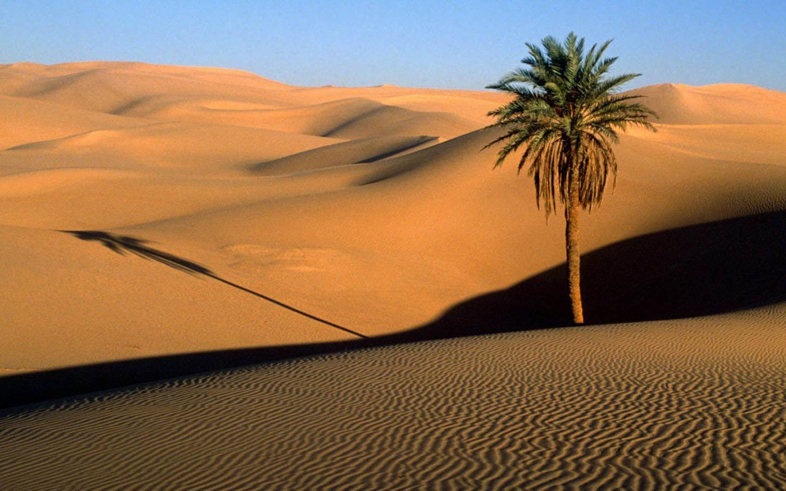 1600x1000 wallpaper: Desert Wallpaper