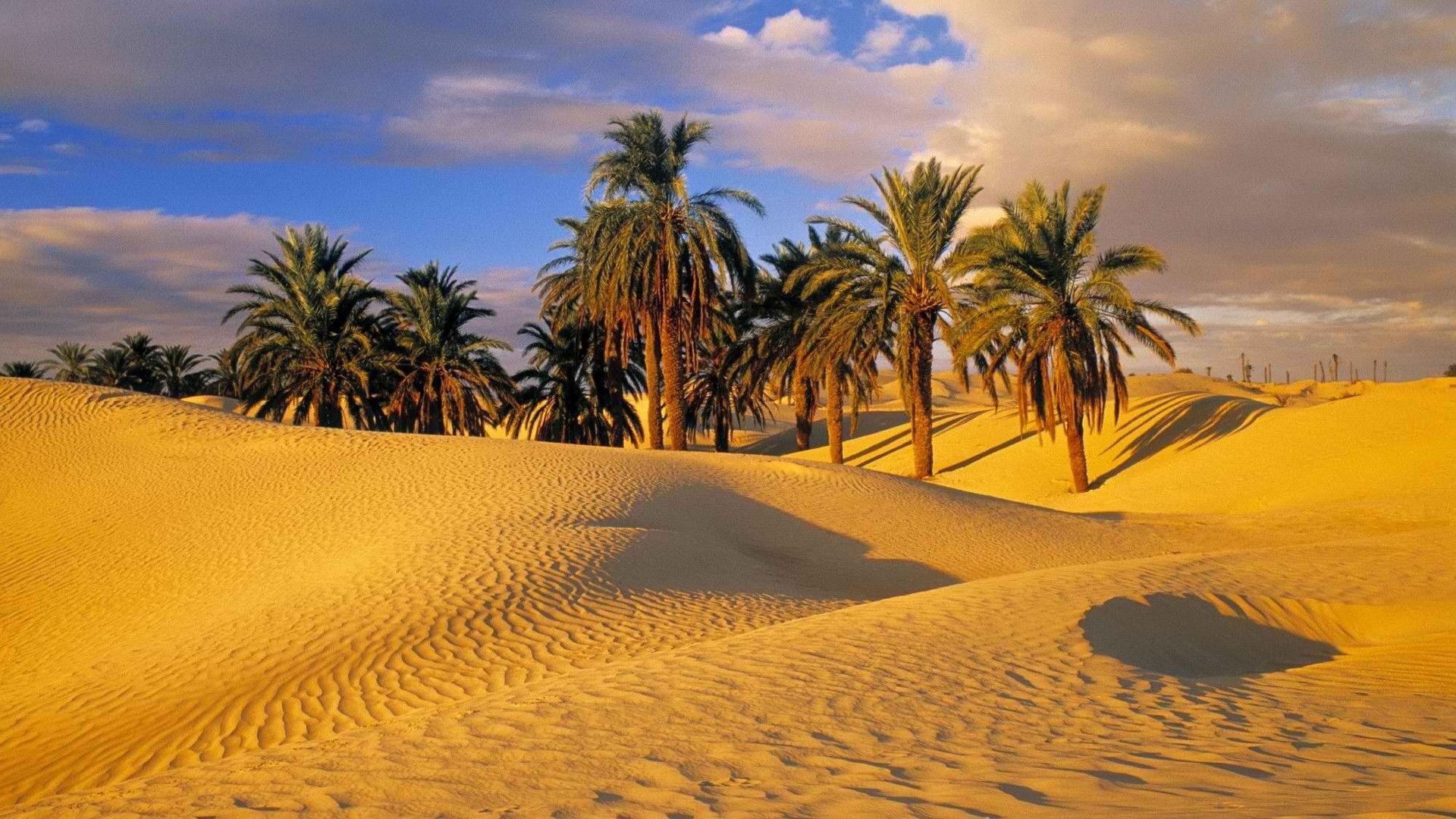 1920x1080 Desert HD Wallpaper