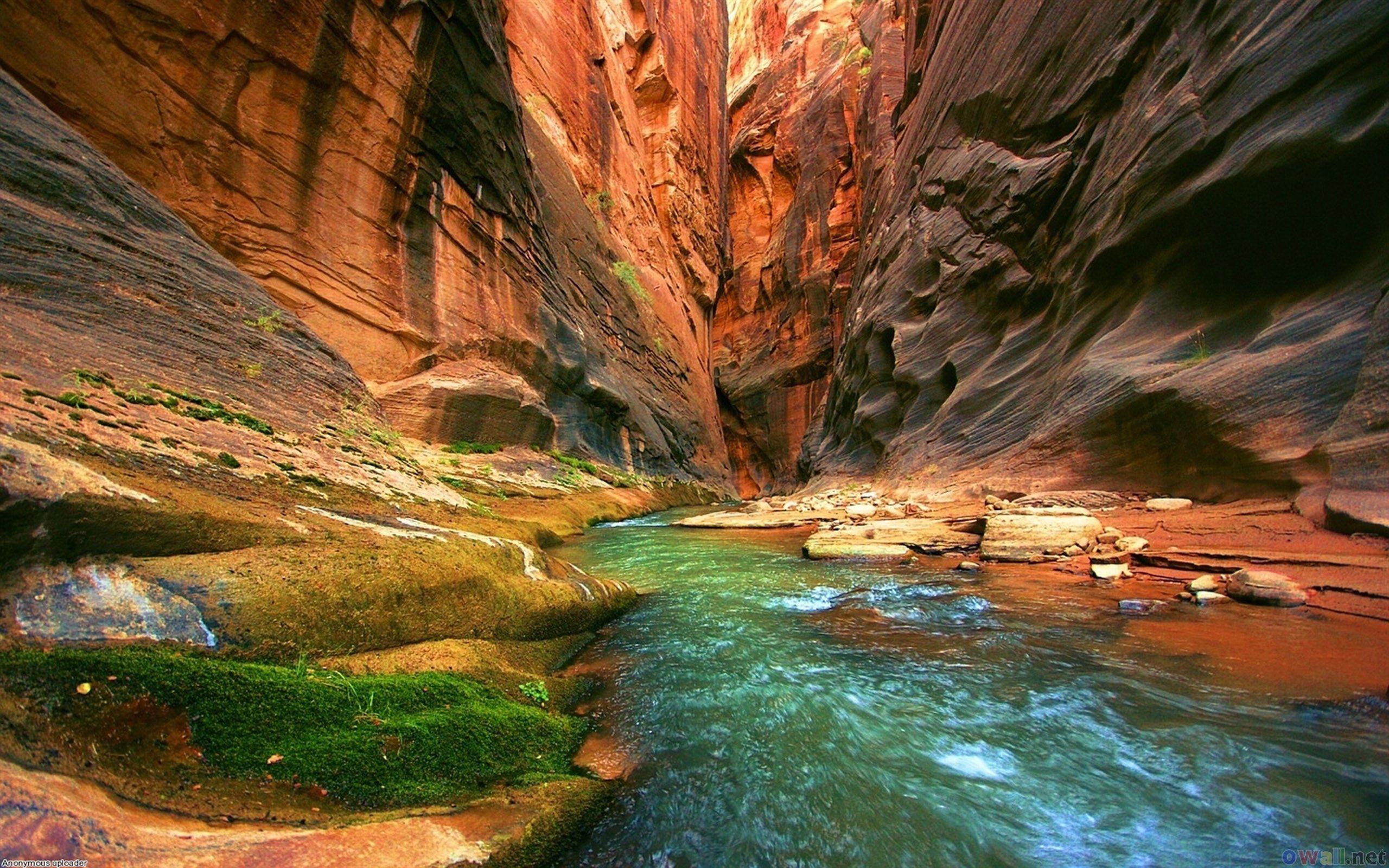 2560x1600 Colorado River Grand Canyon National Park HD wallpaper