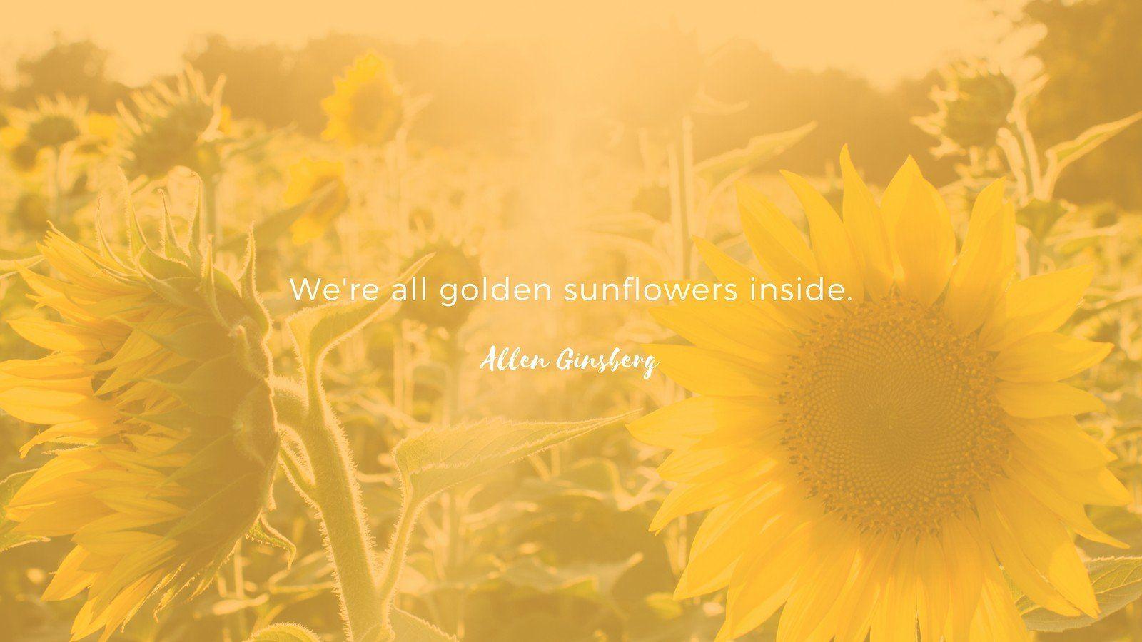 Simple Sunflower Wallpapers - Top Free Simple Sunflower Backgrounds ...