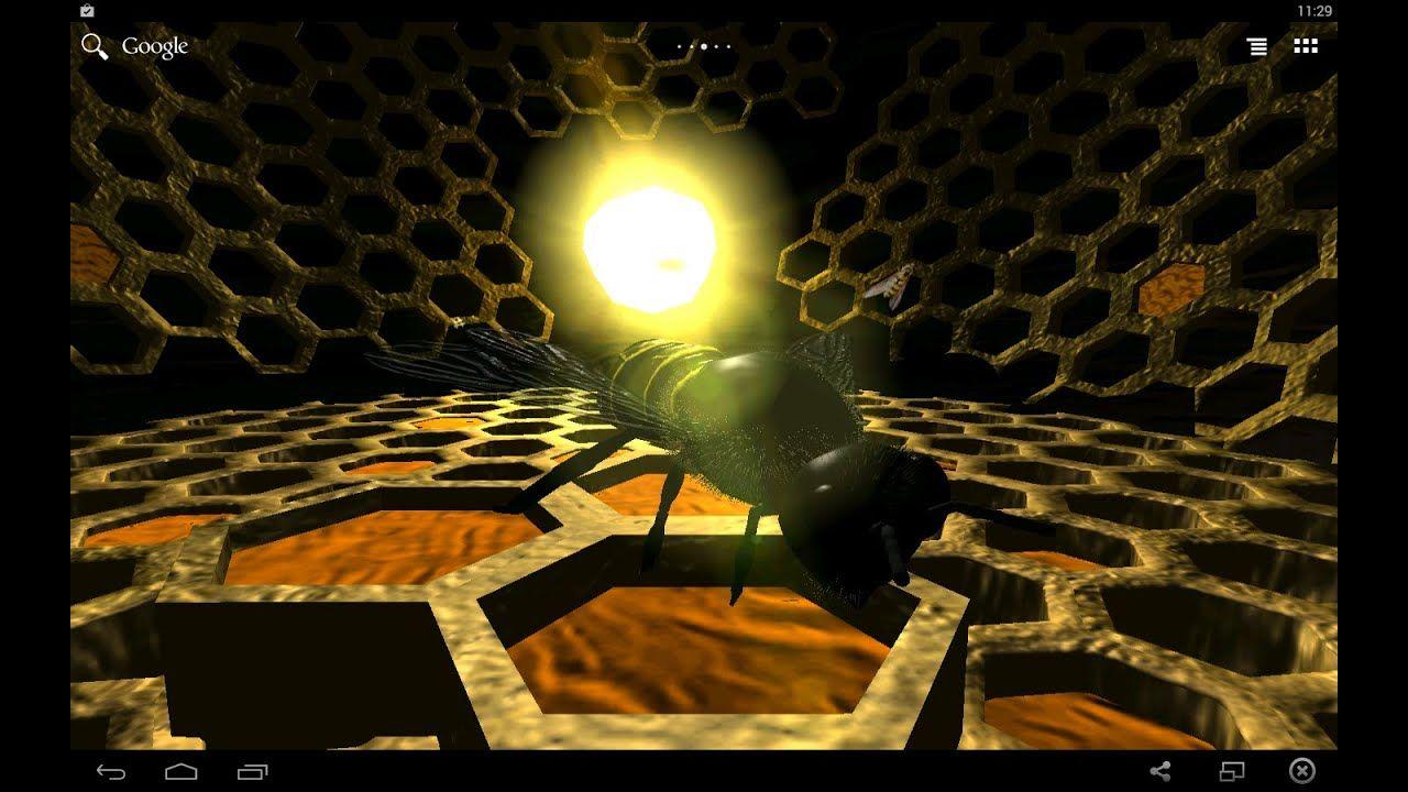 1280x720 Beehive Live Wallpaper