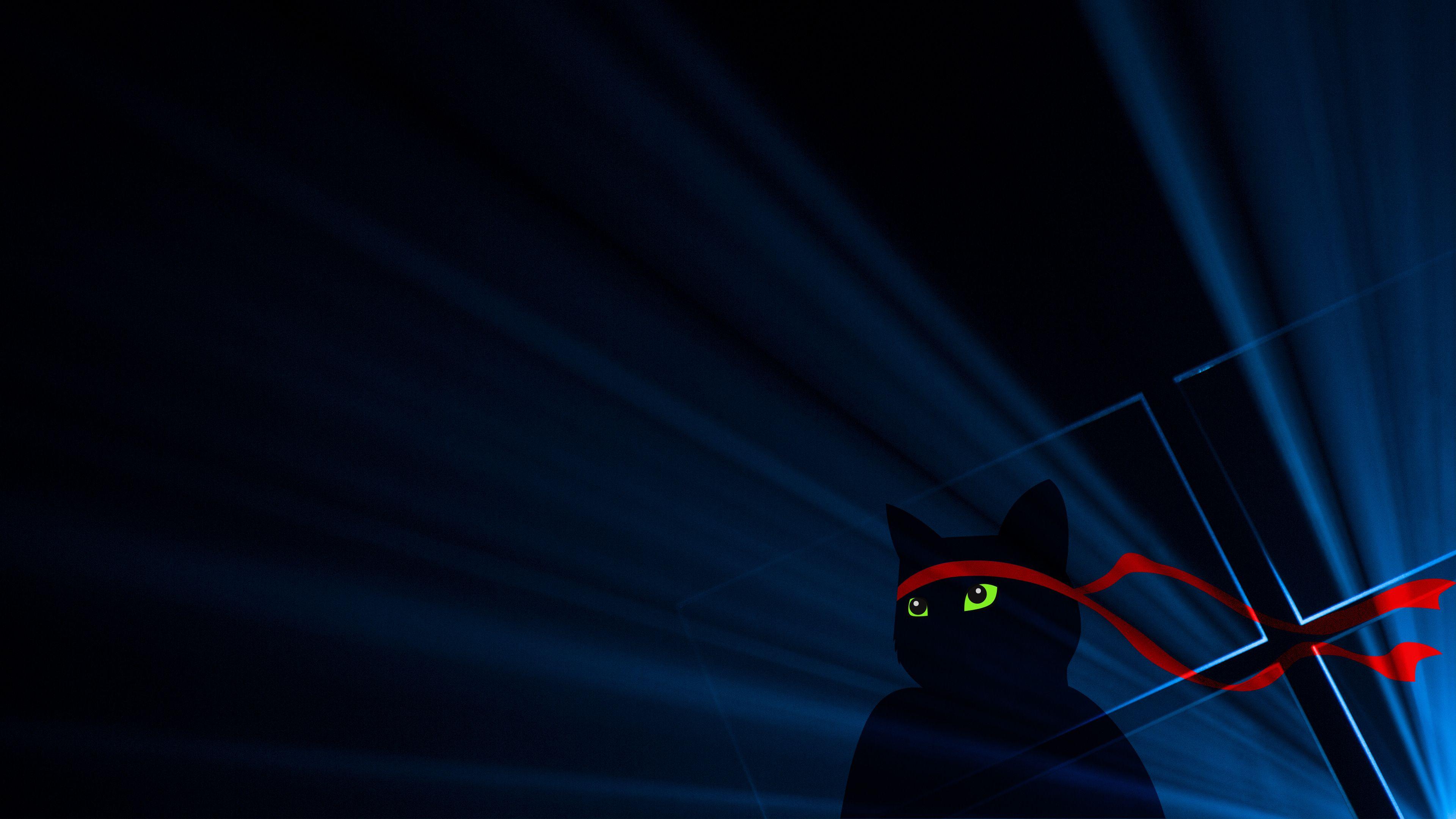 3840x2160 Wallpaper 4k Ninja Cat 4k 4k Wallpaper, Artist Wallpaper