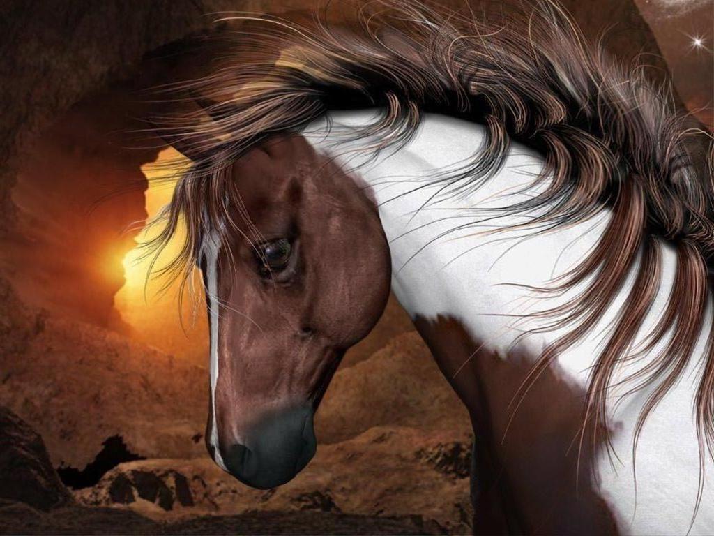 1024x768 image about I Love Horses. Paint horses