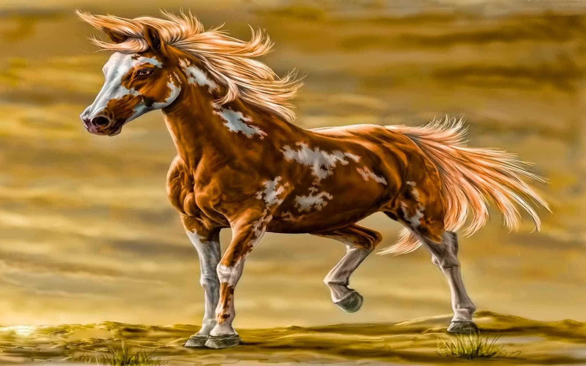 1920x1200 Paint Horse Wallpaper /paint Horse