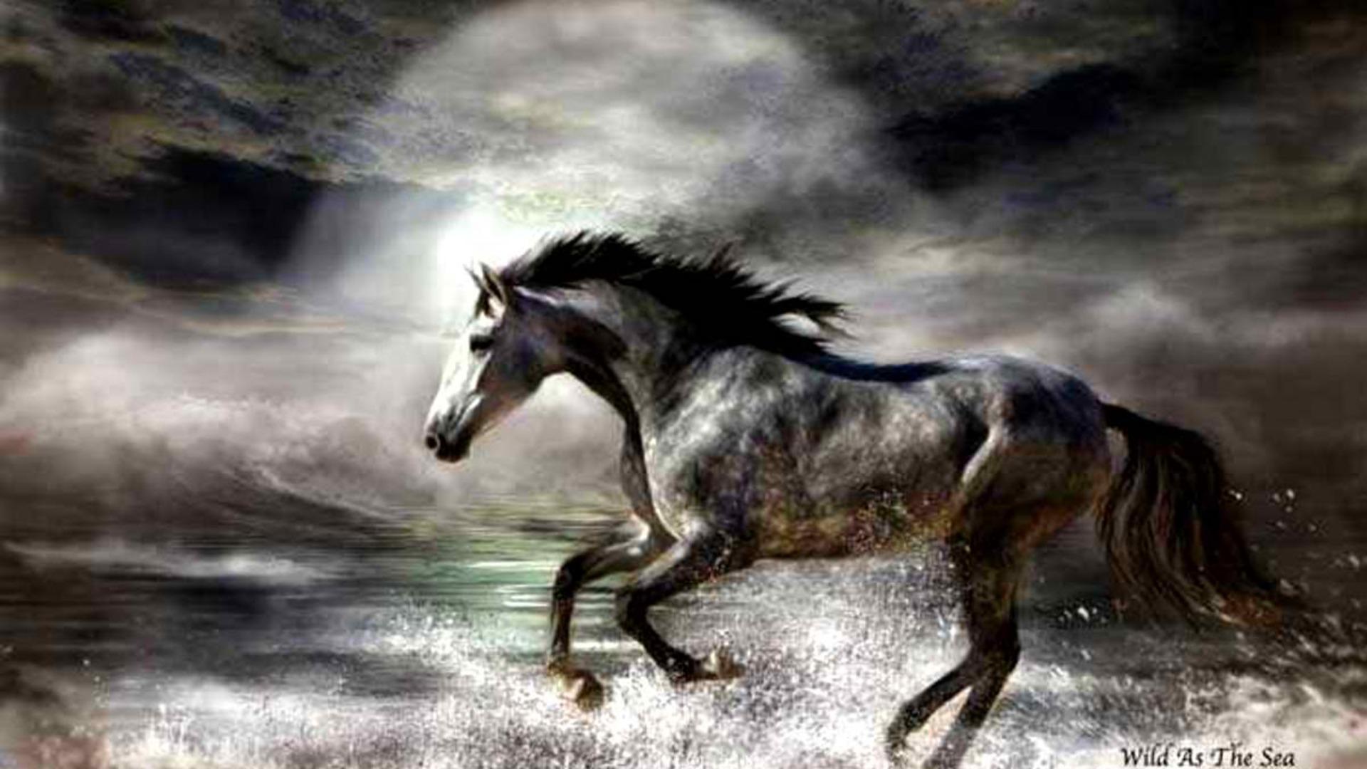 1920x1080 Free download Paint Horse Wallpaper [1920x1080] for your Desktop