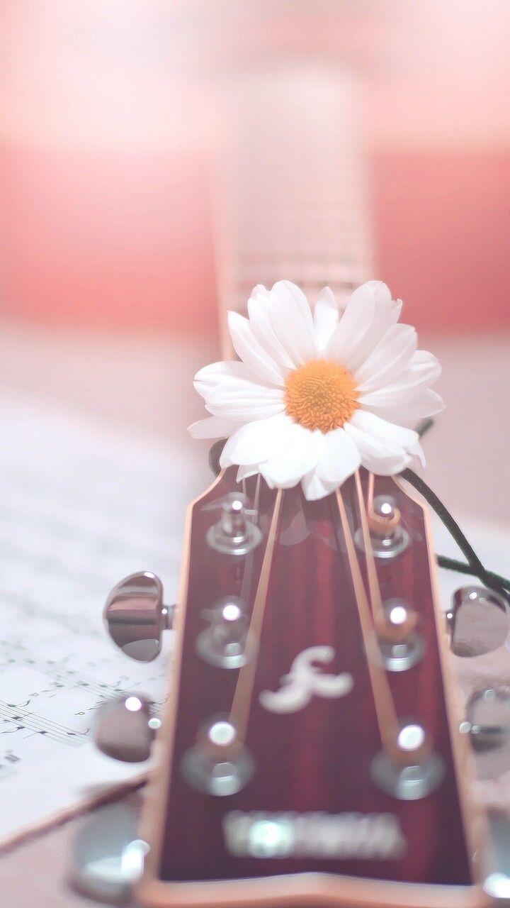 720x1280 accessories, art, background, beautiful, beauty, color, colorful