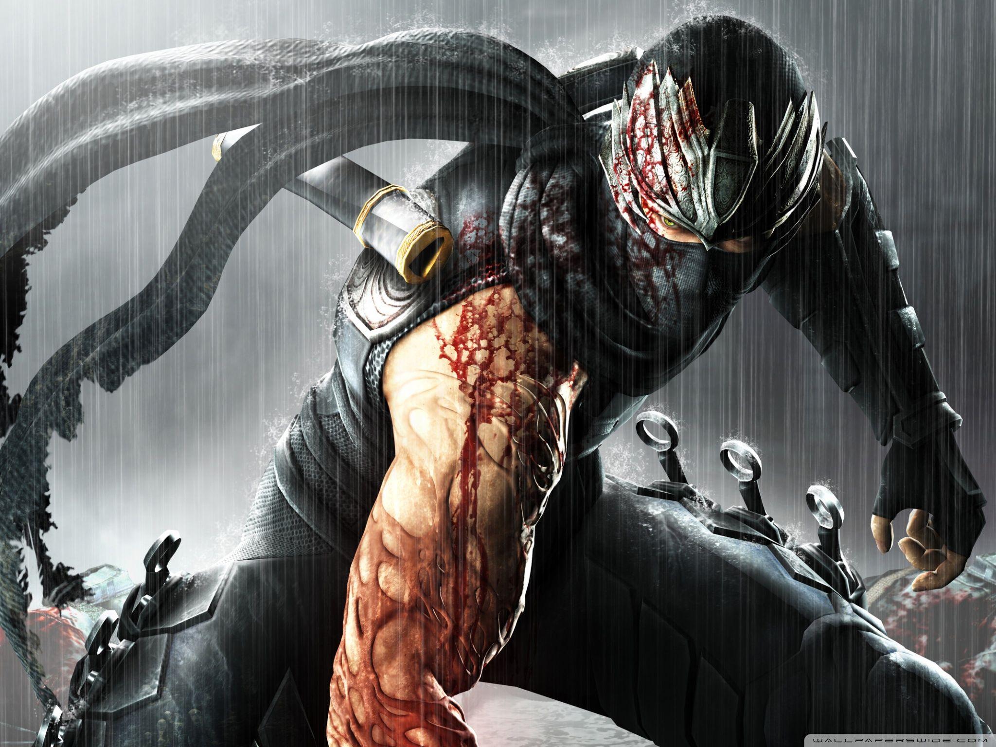 2048x1536 Ninja Gaiden 3 ❤ 4K HD Desktop Wallpaper for 4K Ultra HD TV • Dual