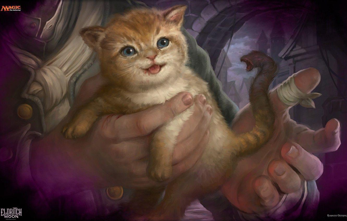1332x850 Wallpaper kitty, Chimera, Magic The Gathering Moon