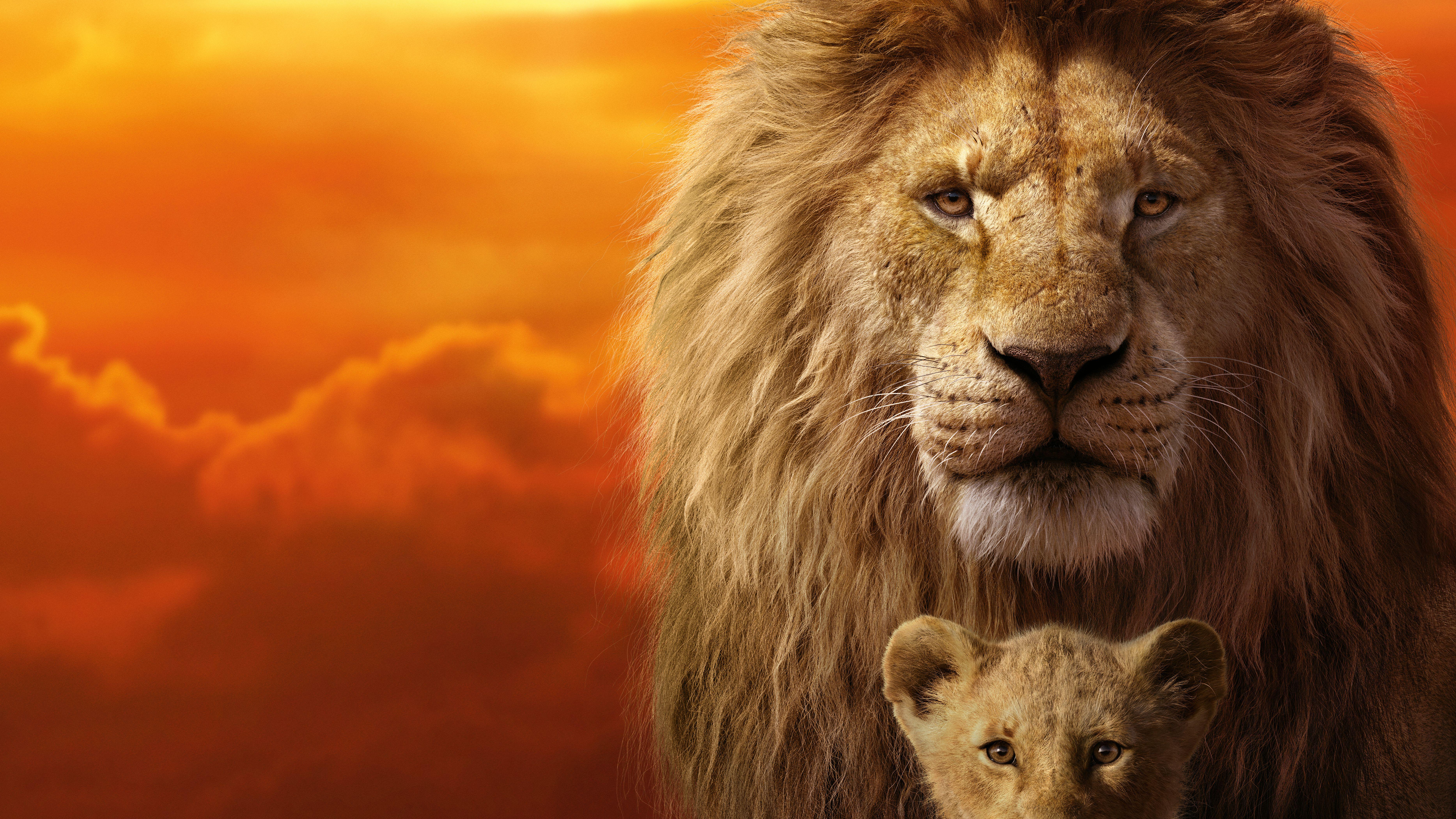 7468x4201 The Lion King 8k, HD Movies, 4k Wallpaper, Image, Background