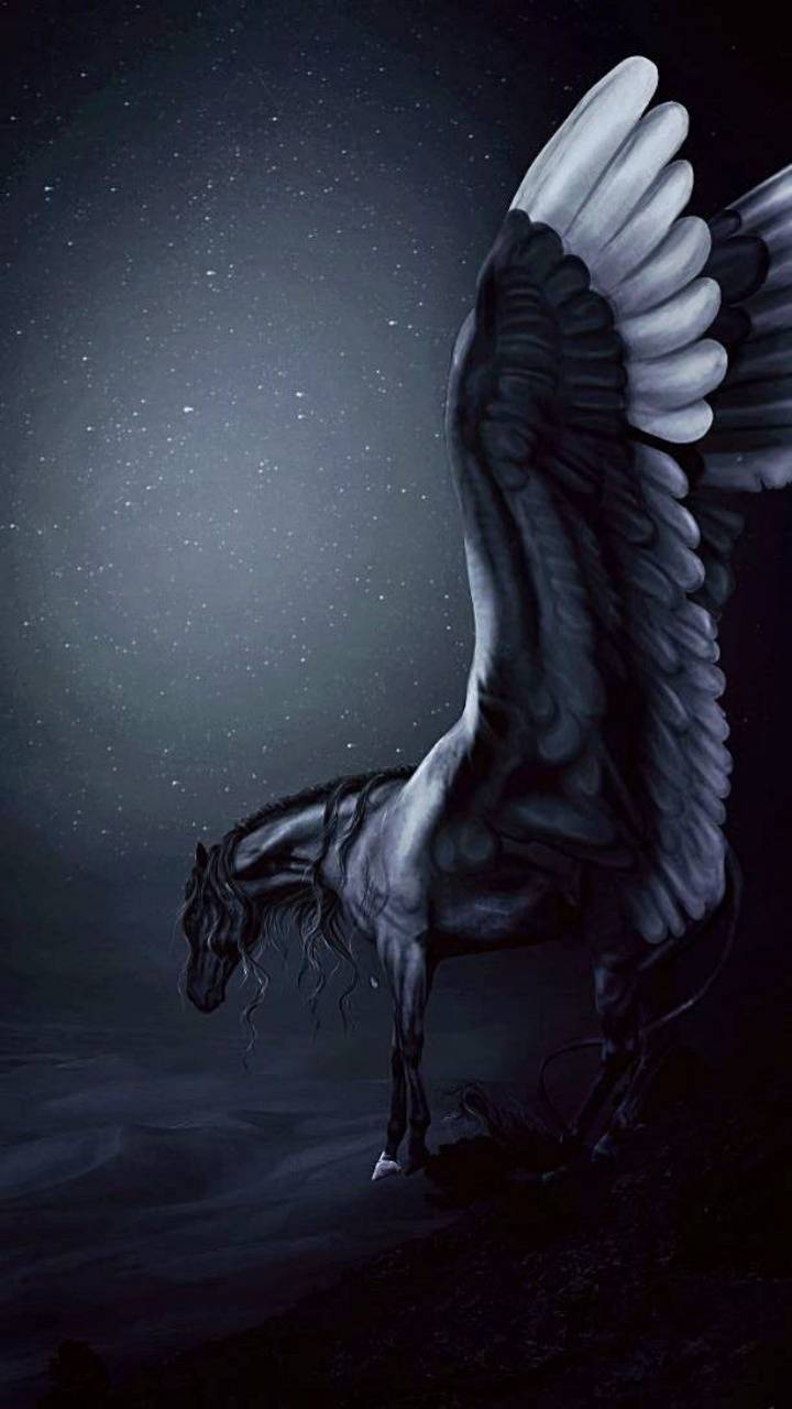 Black Pegasus Wallpapers - Top Free Black Pegasus Backgrounds ...