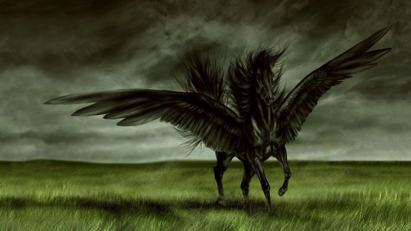 Wallpaper ID 1101364  1080P Wings Pegasus Fantasy Animals Horse free  download
