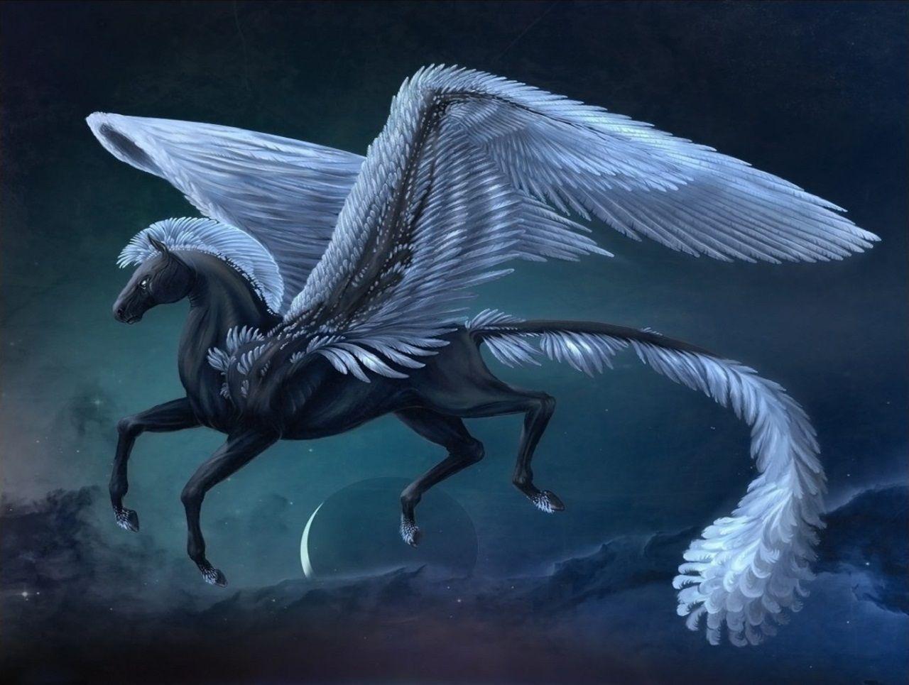 1280x965 Pegasus Background. Magical Pegasus