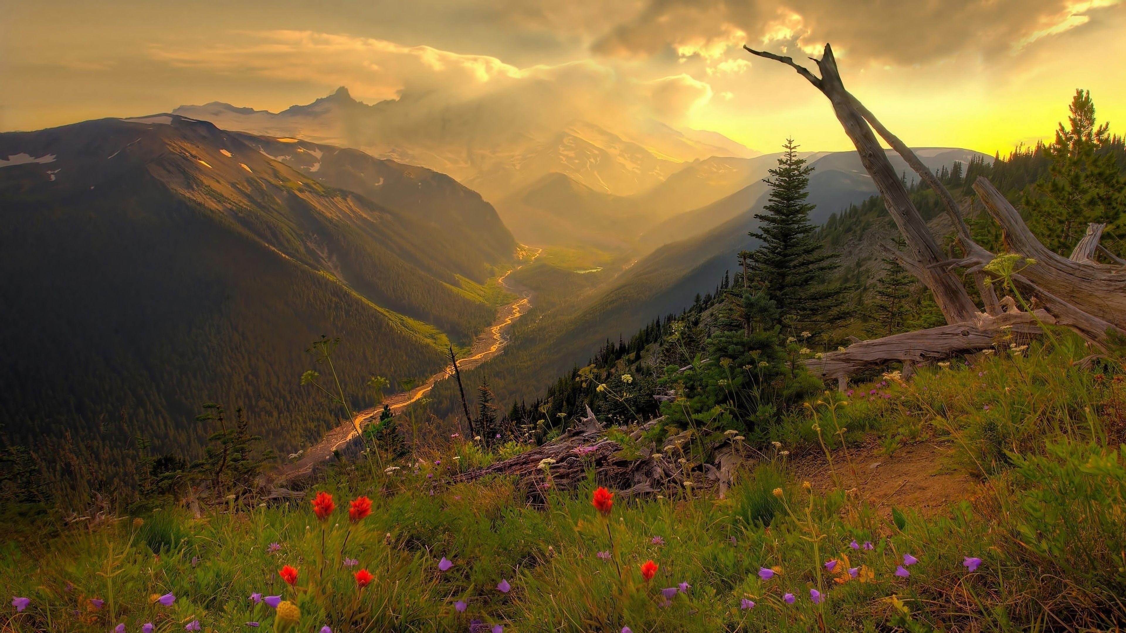 Discover 1000+ Nature desktop backgrounds 4k to Bring Life-Like Sceneries on Your Screen