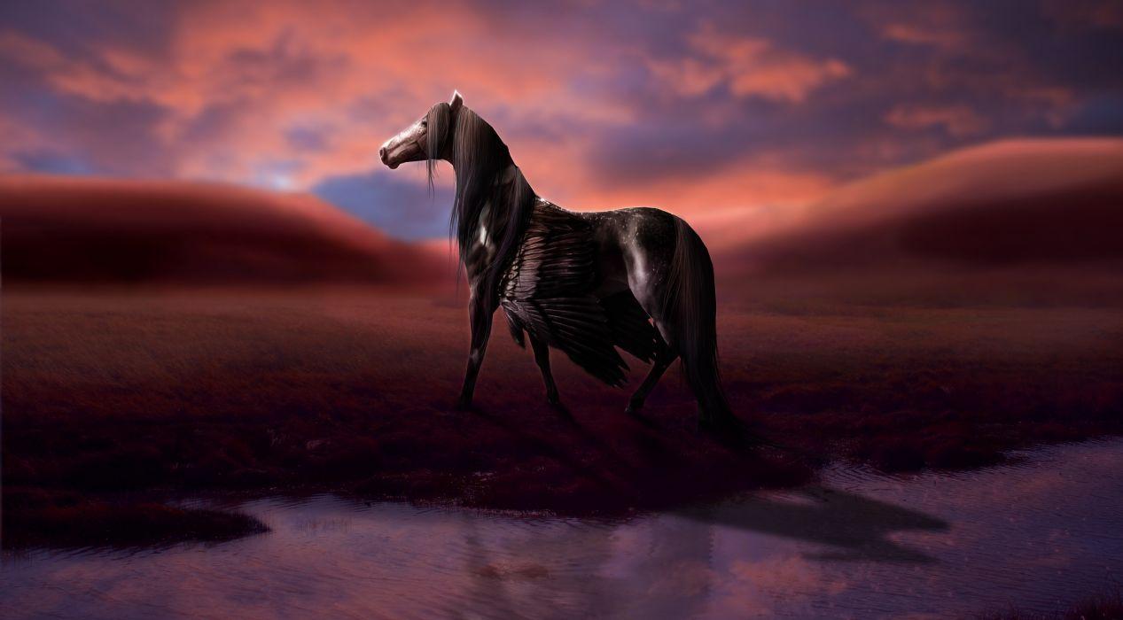 1267x700 Magical animals Pegasus Black Fantasy horse wallpaperx1644