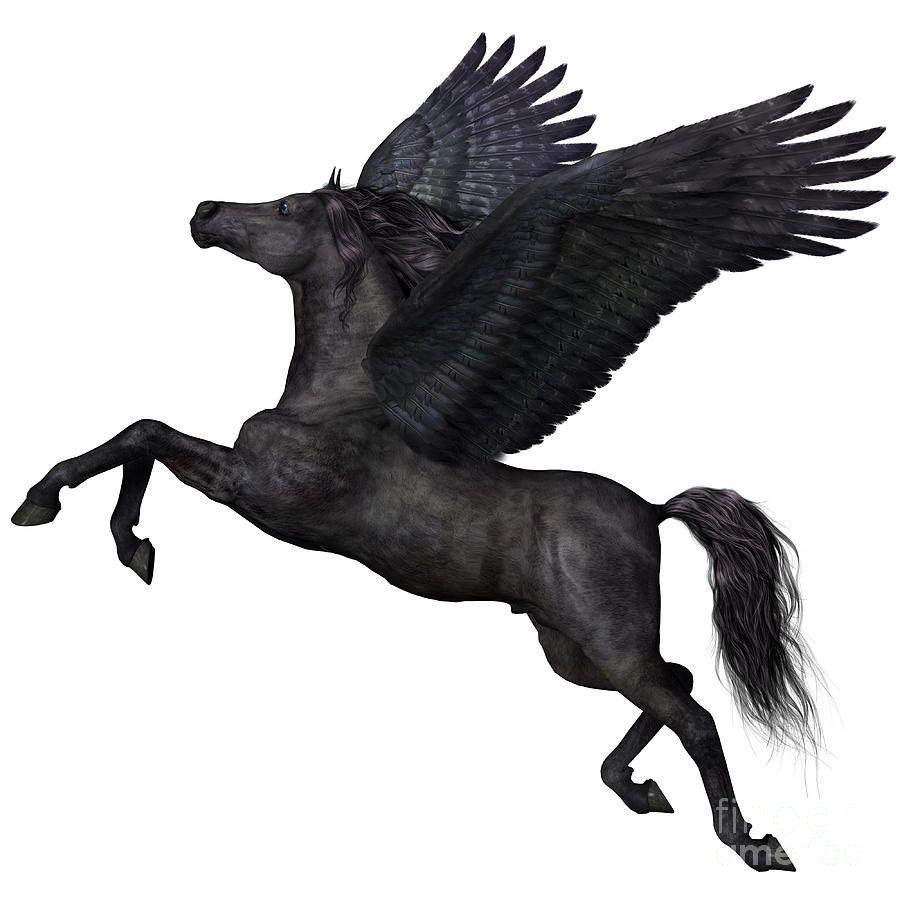 Black Pegasus Wallpapers - Top Free Black Pegasus Backgrounds ...