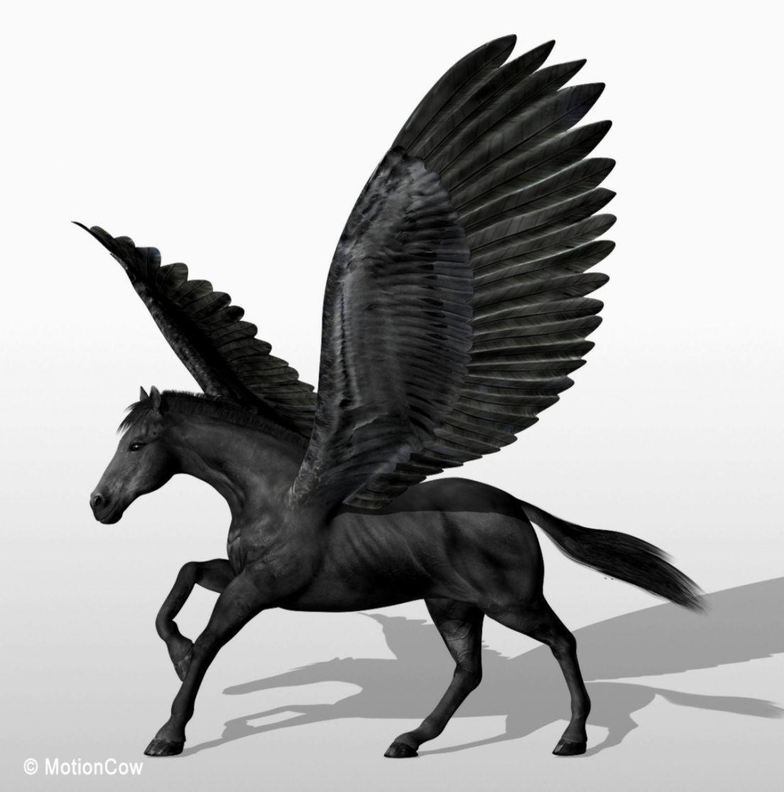 1104x1116 Black Pegasus Horse Flying