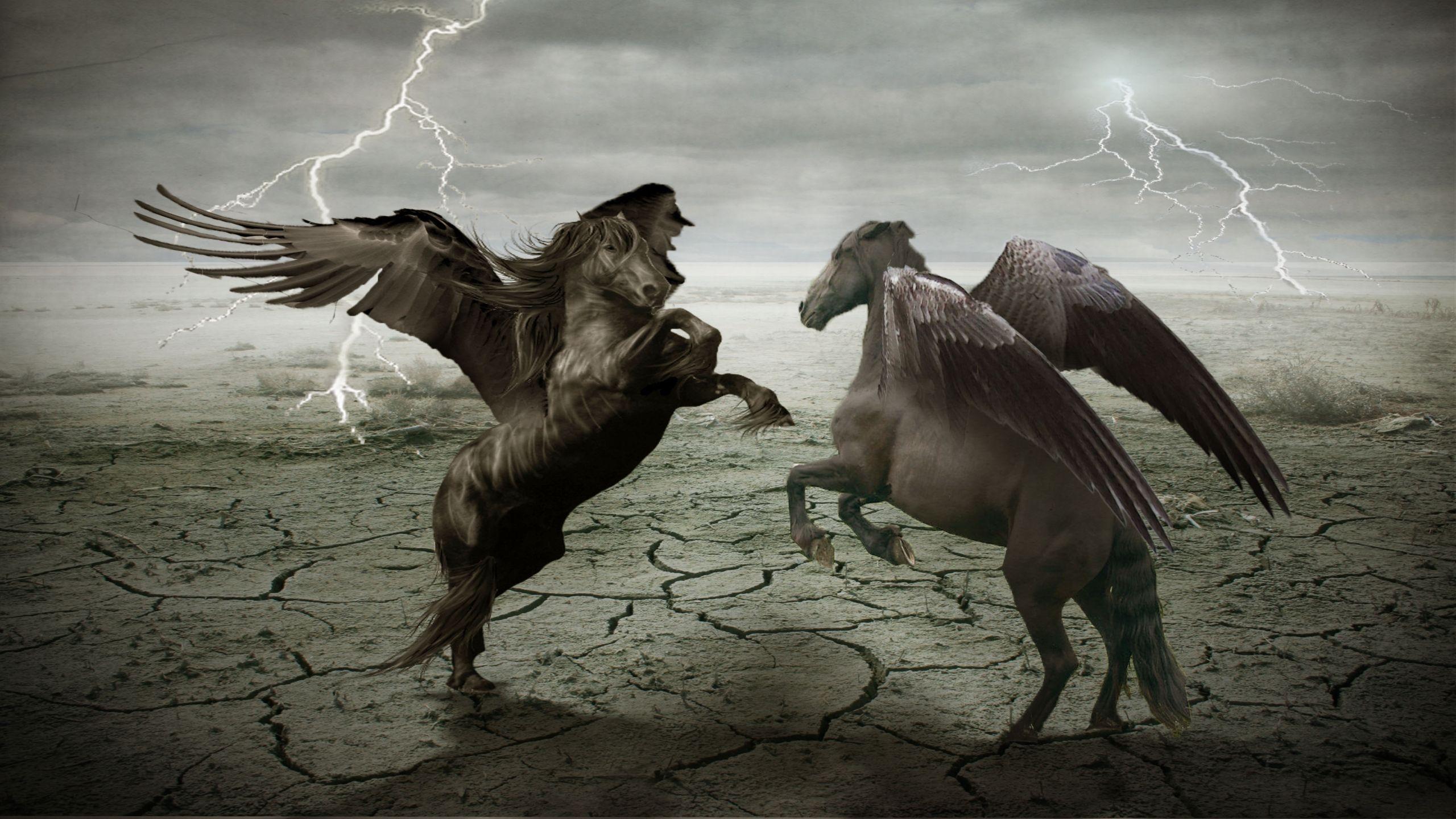 2560x1440 Pegasus HD Wallpaper and Background Image