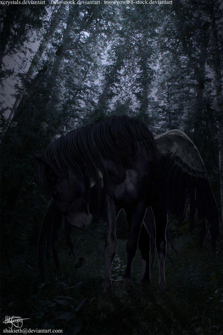 730x1095 black pegasus. Pegasus, Art wallpaper, Art