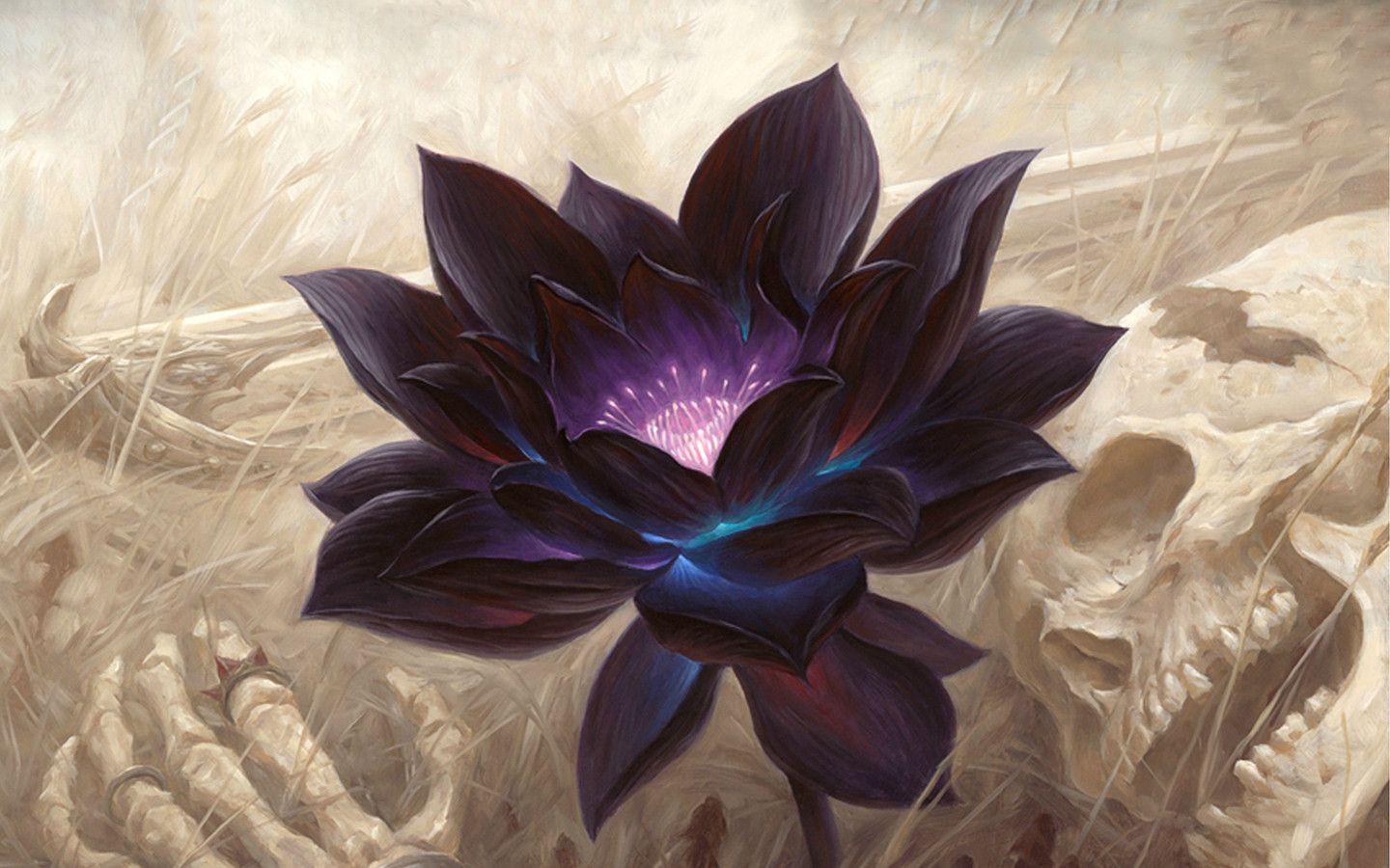 Black lotus com