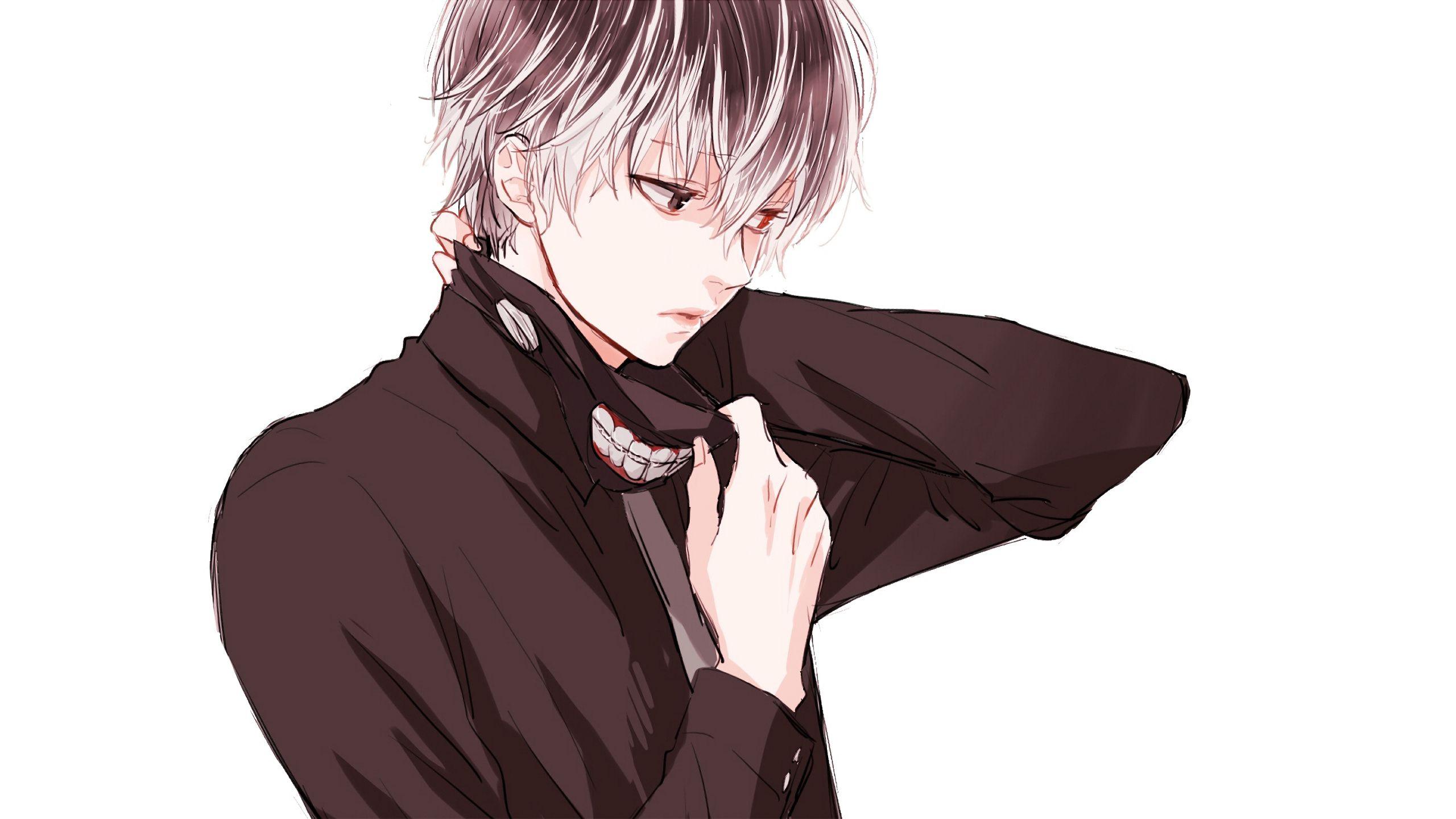 2560x1440 Download Artwork, Haise Sasaki, Tokyo Ghoul Re, Anime Boy, Artwork