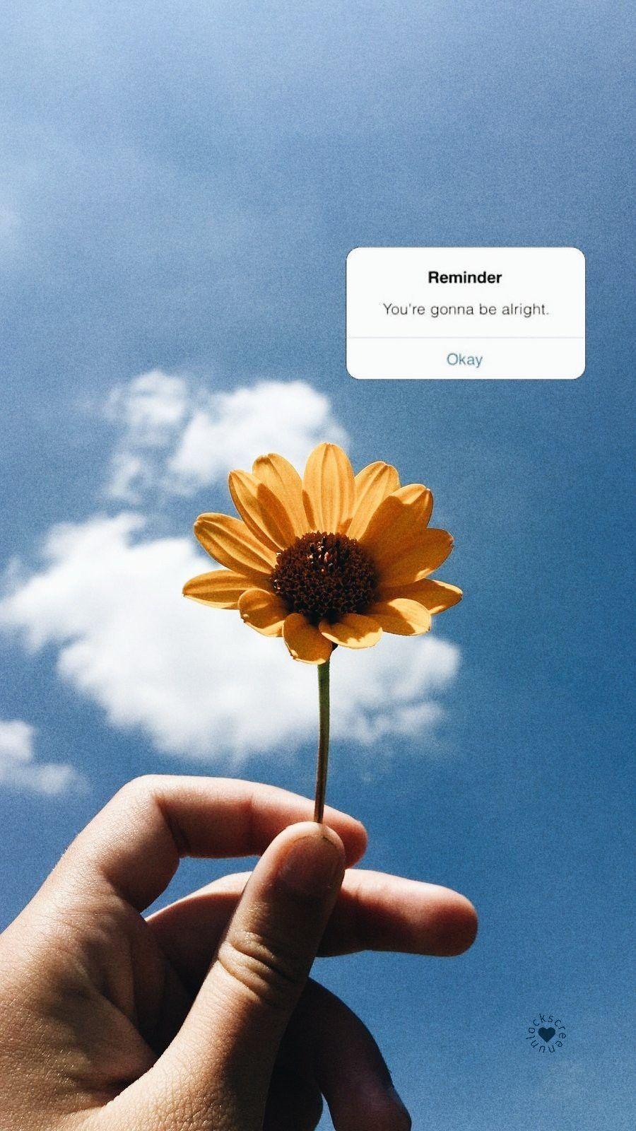 Reminder Wallpapers - Top Free Reminder Backgrounds - WallpaperAccess