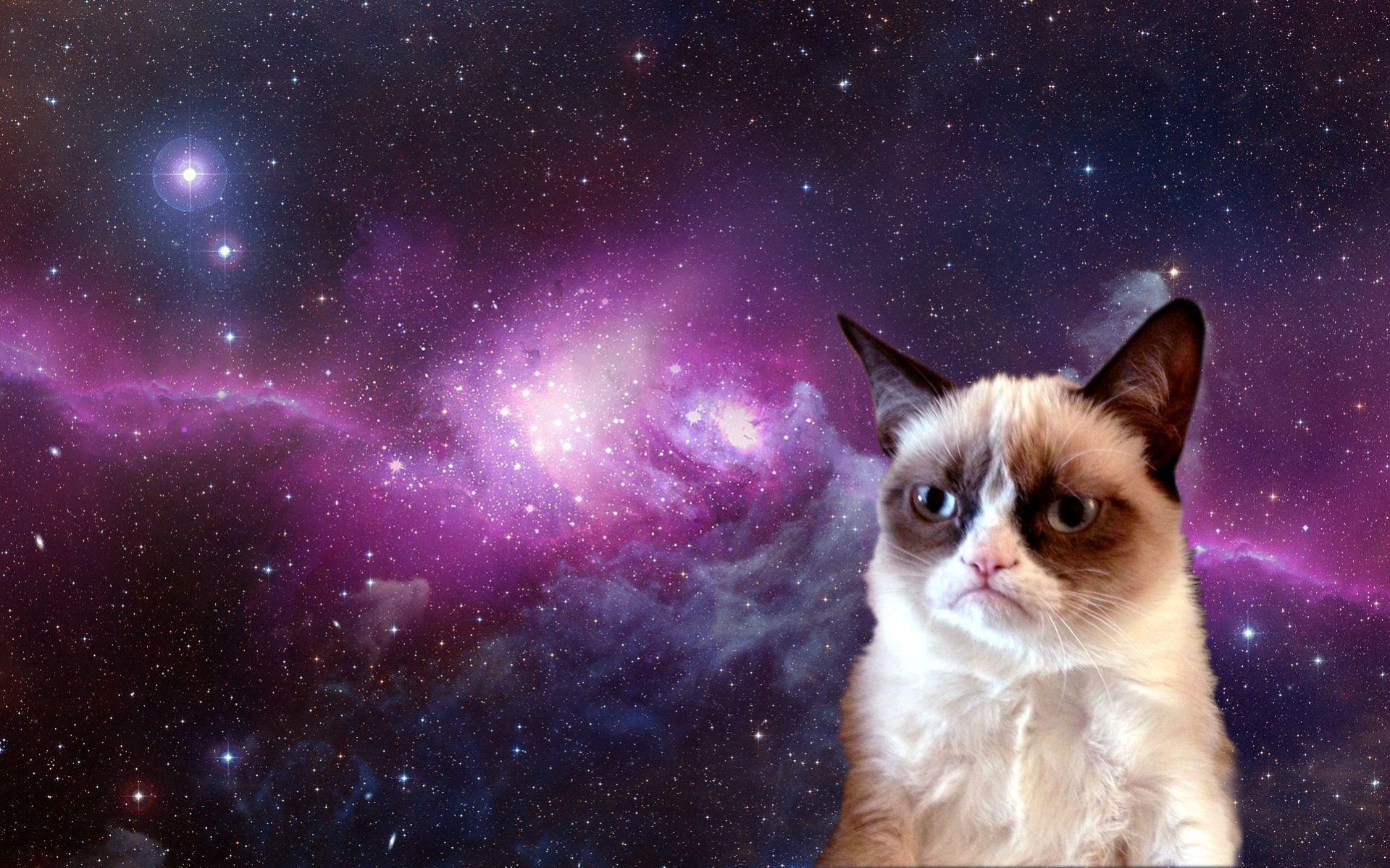 1919x1199 Cat in Space Wallpaper
