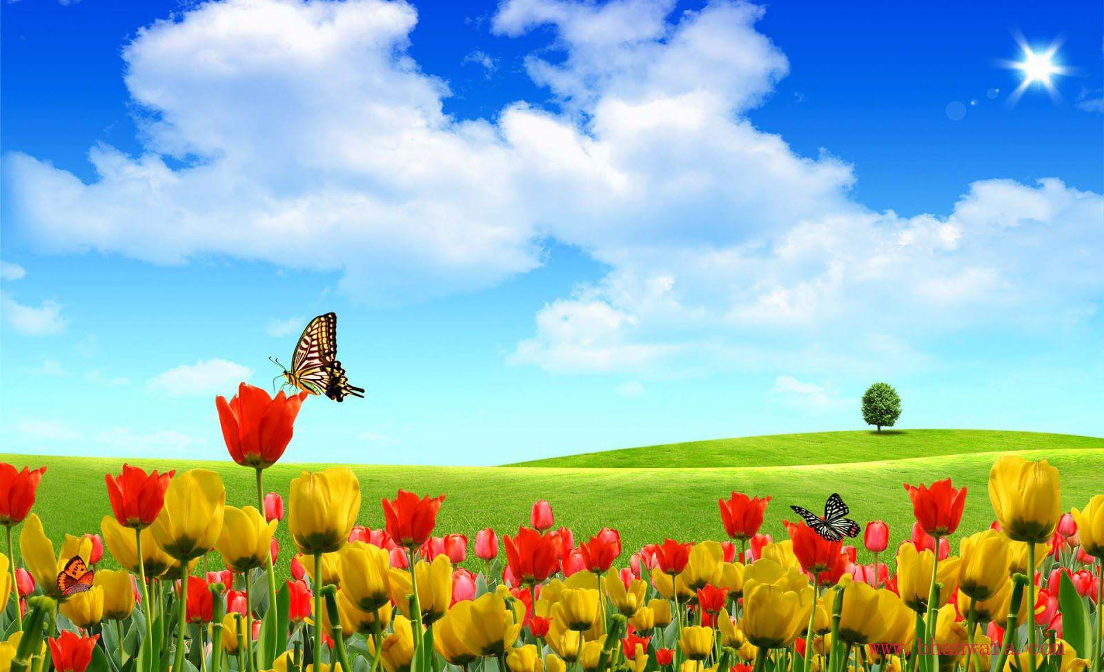 Spring Colors Wallpapers - Top Free Spring Colors Backgrounds