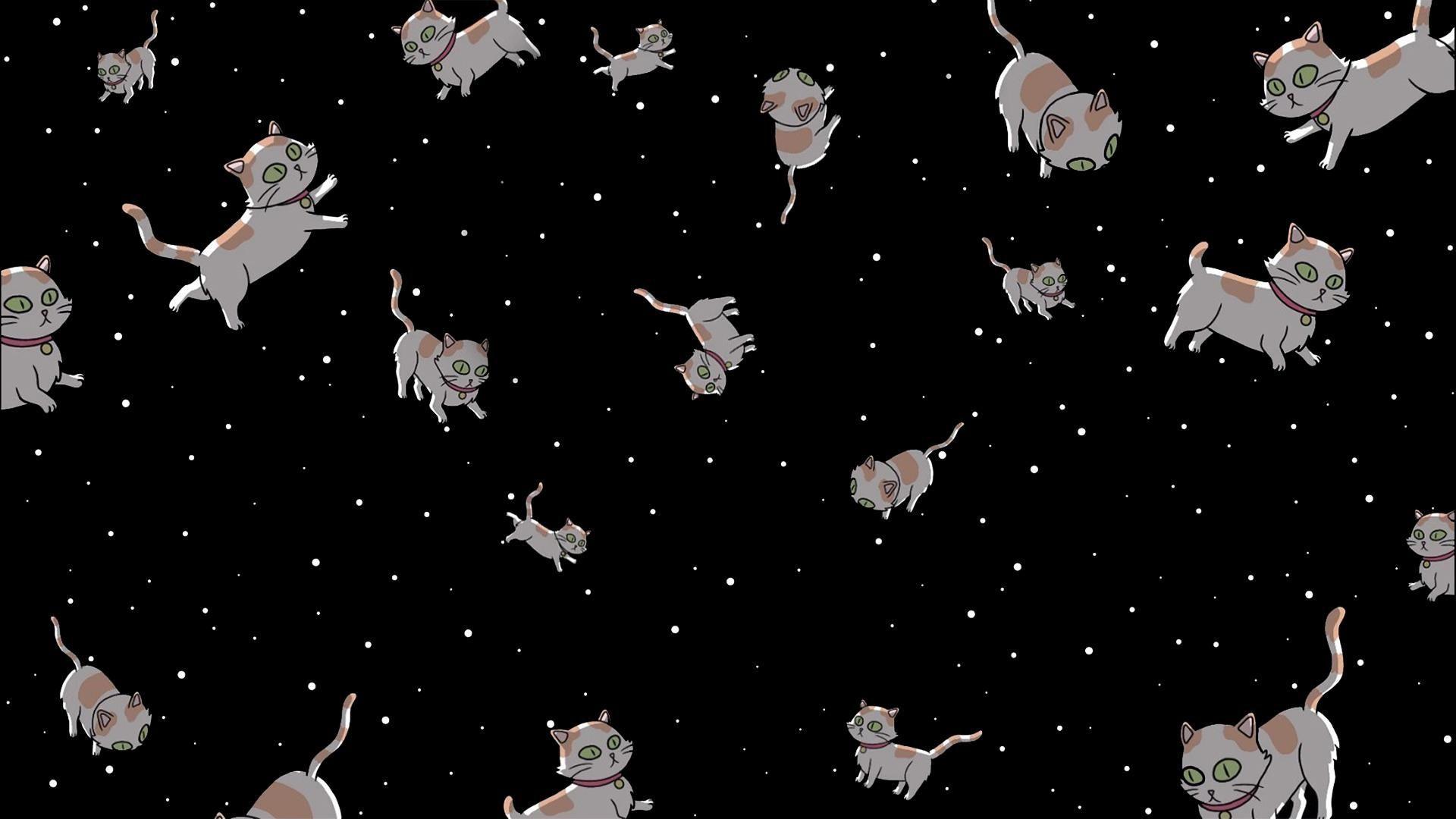 Bộ sưu tập 200 Desktop backgrounds cats Tận hưởng niềm yêu thích chuột ...