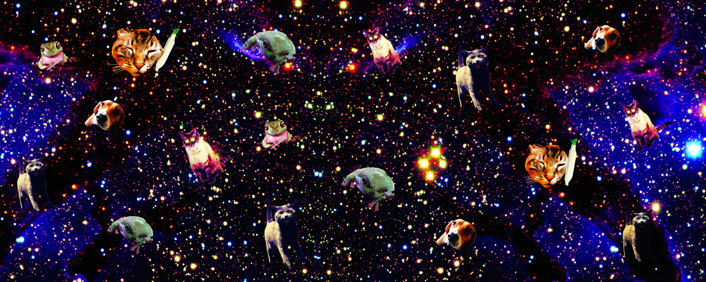 2350x940 Tải xuống miễn phí mèo con trong không gian hình nền đồ họa mèo Footprint Insole [2350x940] cho Máy tính để bàn, Di động & Máy tính bảng của bạn.  Khám phá Hình nền Kitty Space.  Space Cats Wallpaper HD, Space Desktop Wallpaper HD
