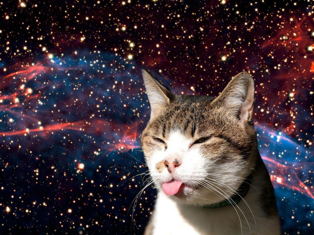 1024x768 Dogs in Space Wallpaper. Beautiful Dogs