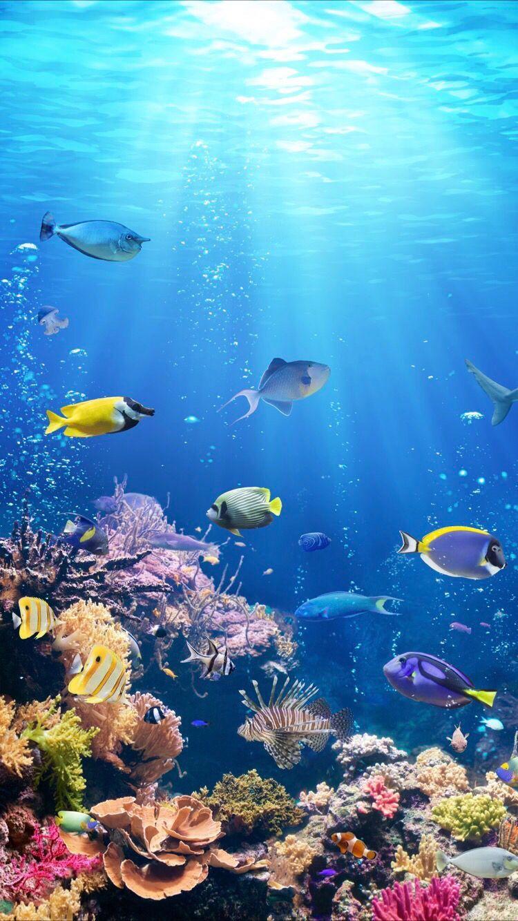 750x1334 4k Underwater Wallpaper