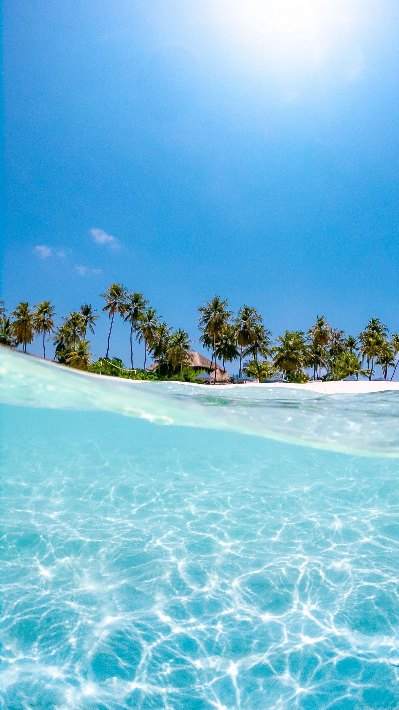 1350x2400 Download wallpaper 1350x2400 sea, palm trees, sun, beach, wave