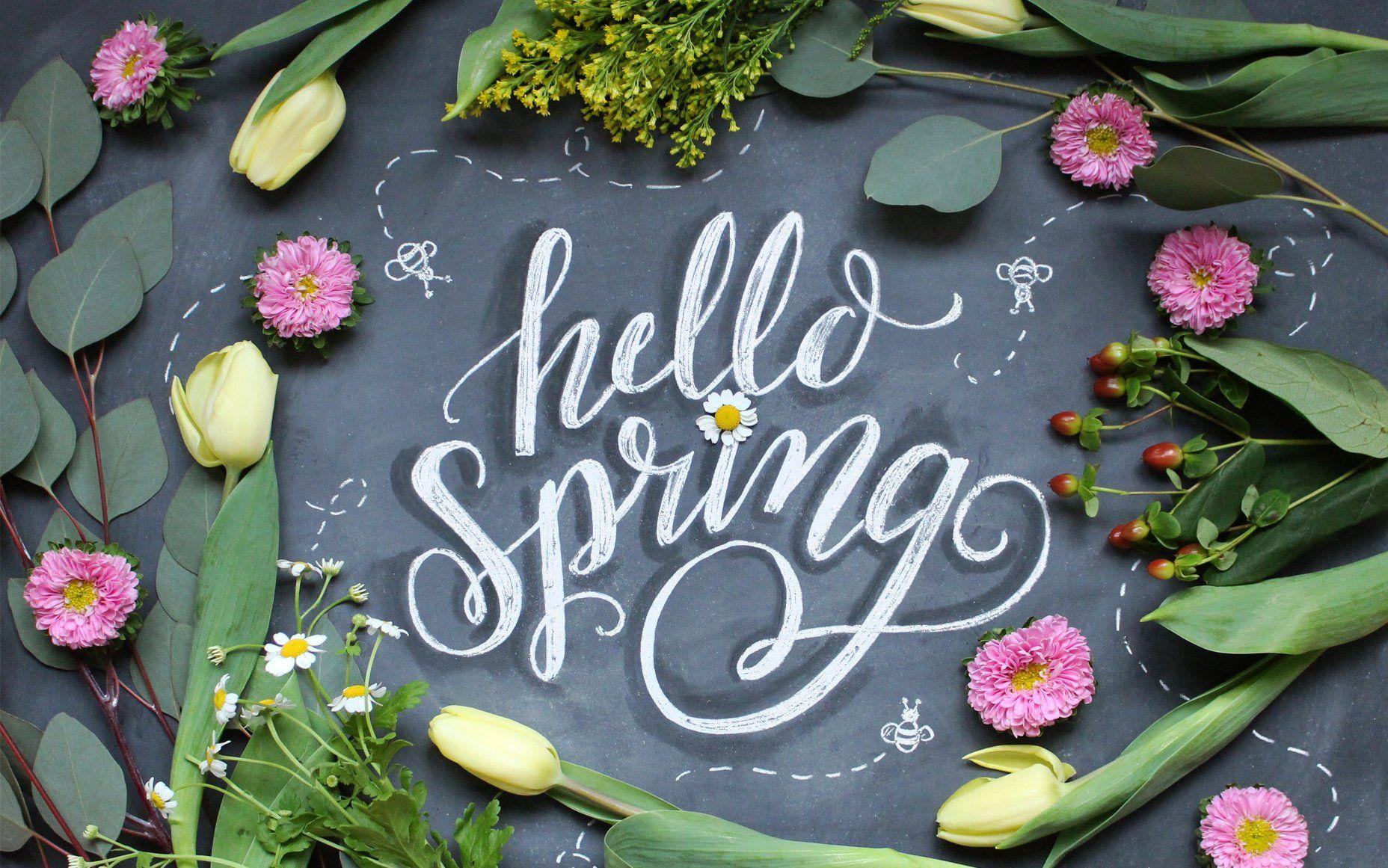 March month Hello march March HD wallpaper  Pxfuel