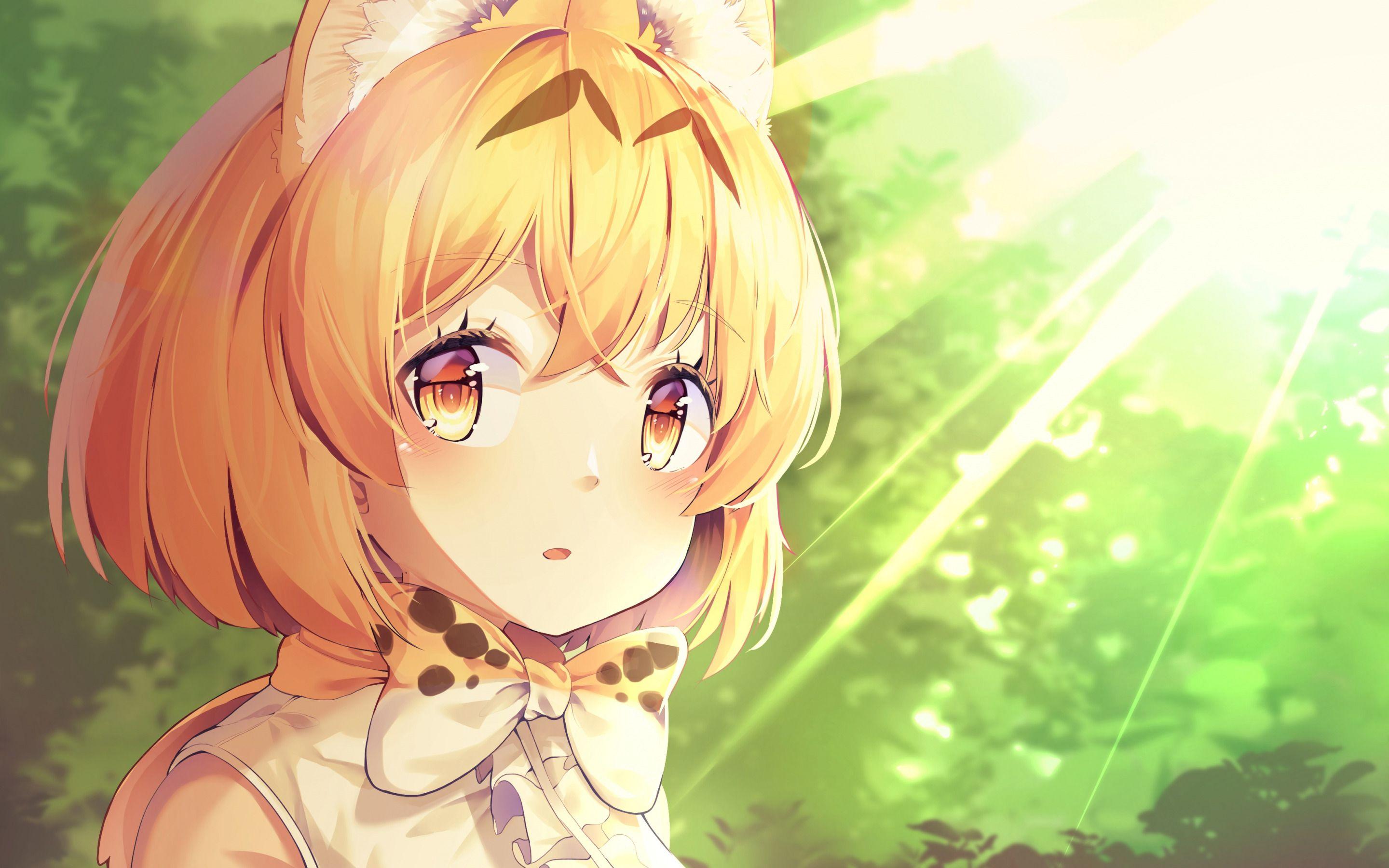 2880x1800 Download wallpaper Kemono Friends, Serval, Japanese manga, main