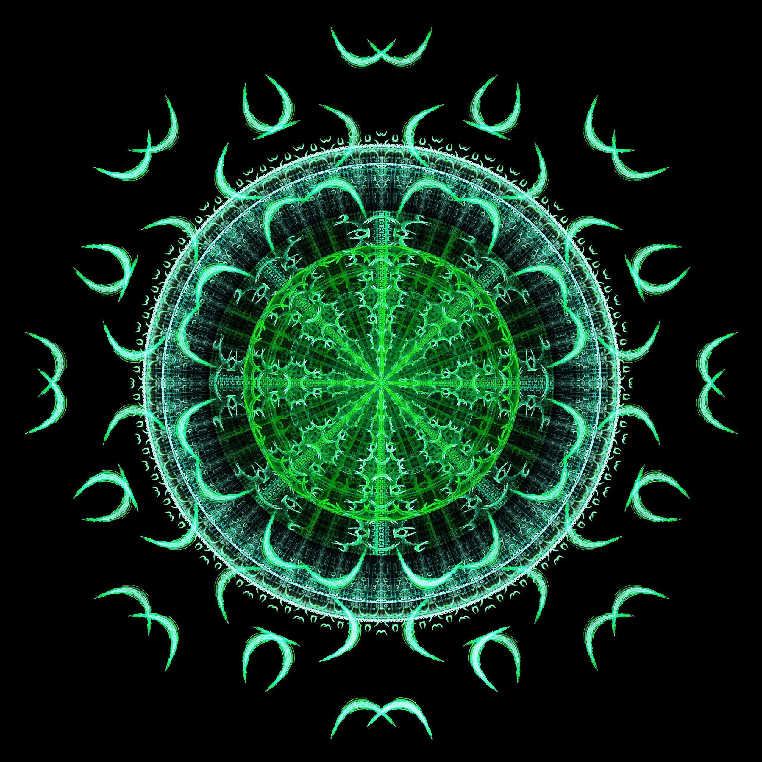 Green Mandala Wallpapers Top Free Green Mandala Backgrounds