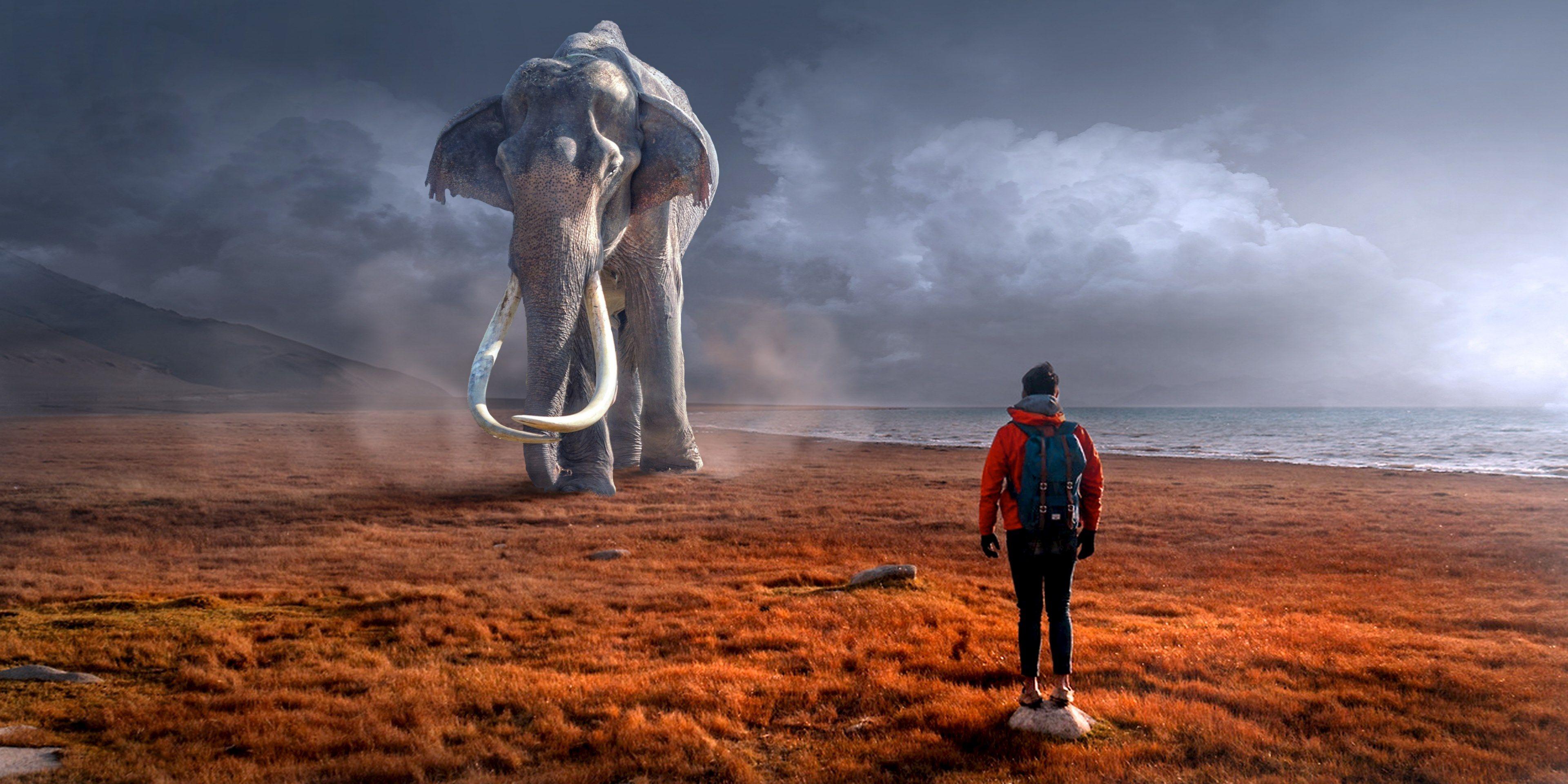 3840x1920 fantasy #landscape #elephant #man #sun #light 4k wallpaper