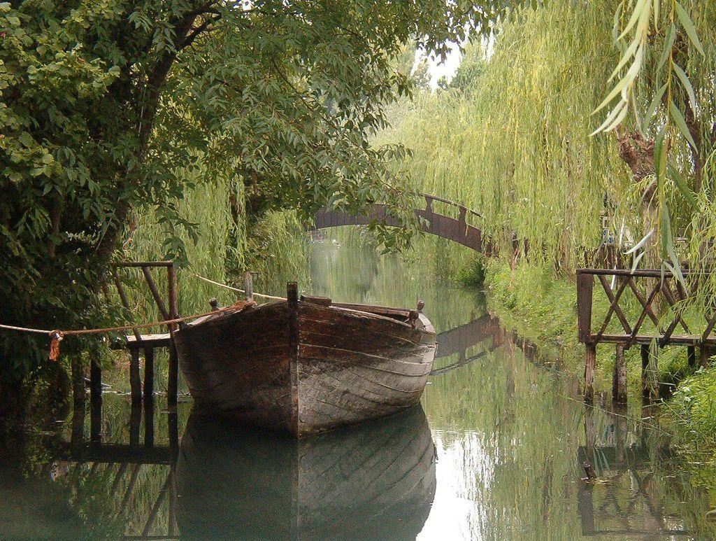 1024x773 Desktop Wallpaper. Naturaleza fotos, Sauce llorón, Maravillas