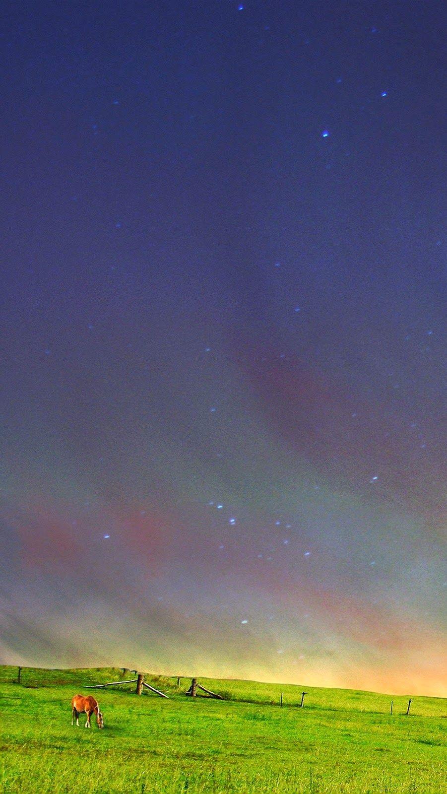 901x1600 Free download Photo iphone 6 original wallpaper 901x1600