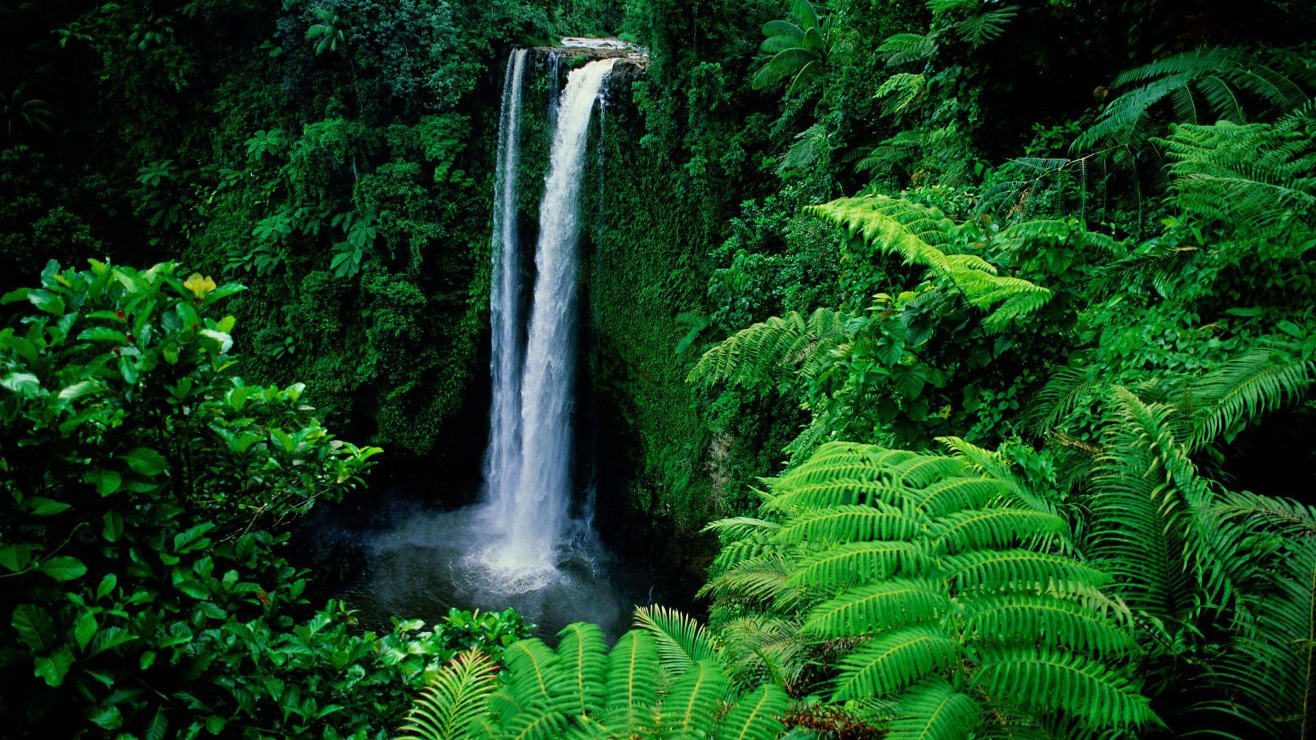 1920x1080 Water Falls