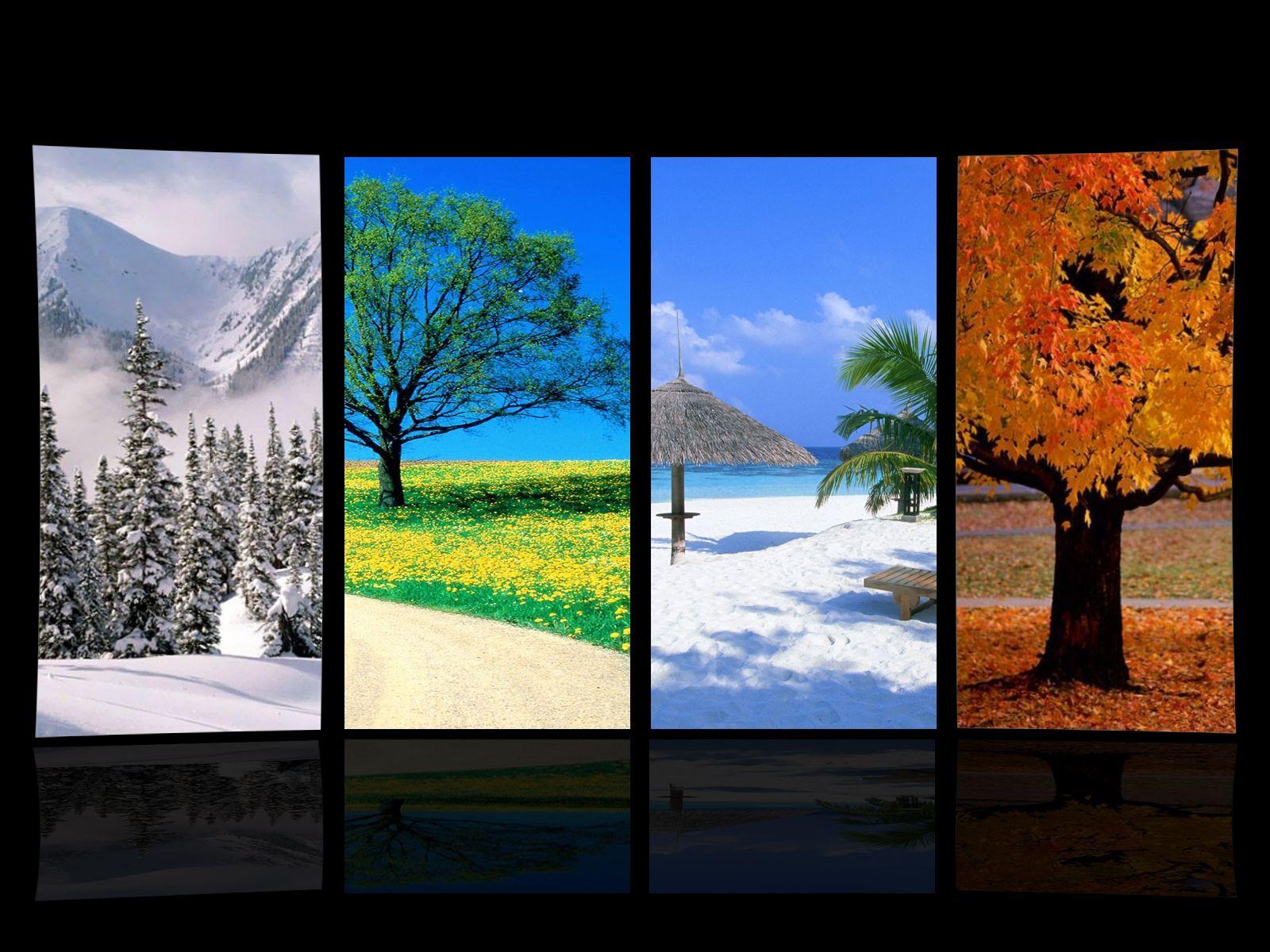 1600x1200 Four Seasons Wallpaper (1600x1200 px)