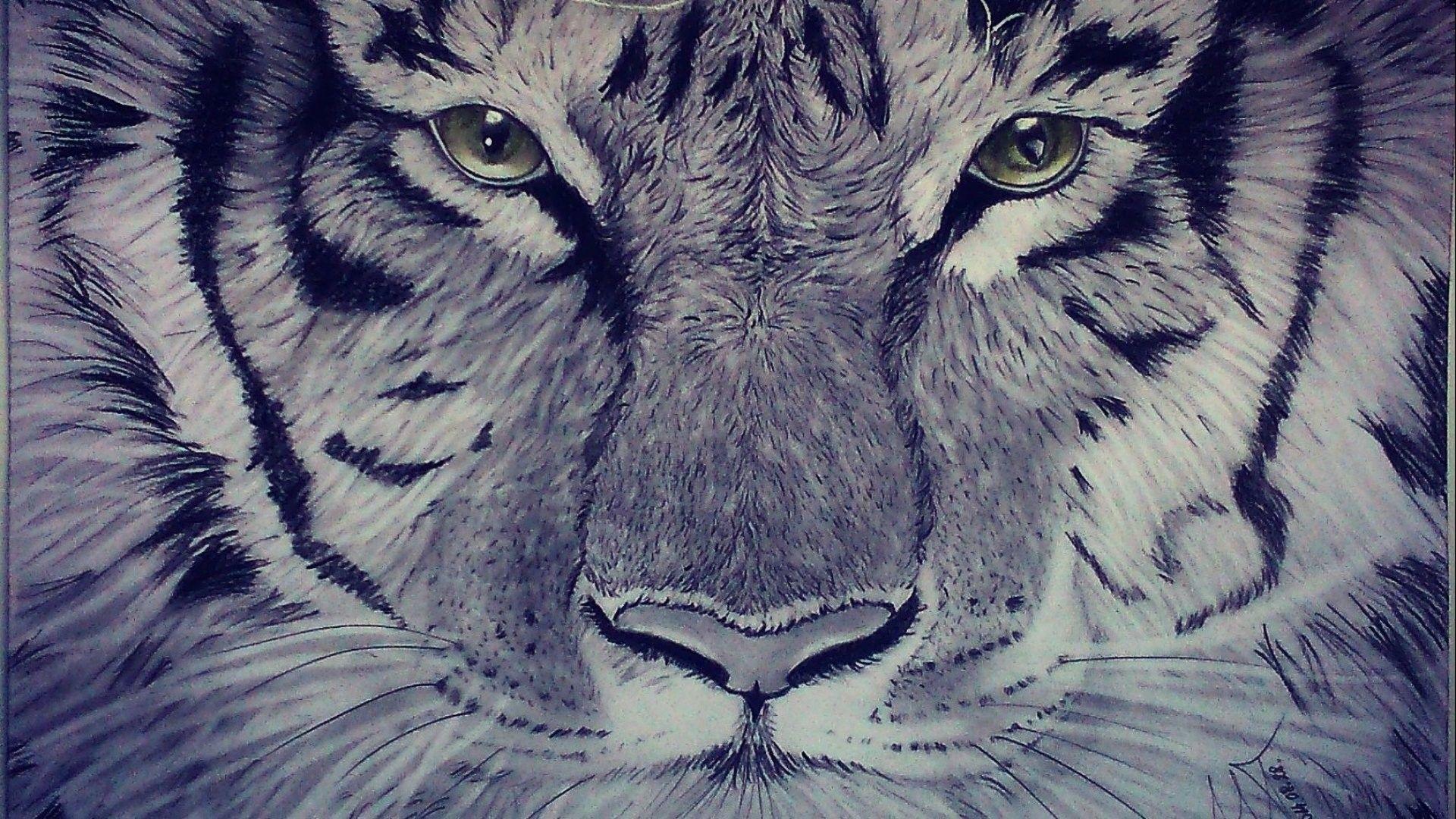 1920x1080 Carnivore, Art, Cat Artwork, Desktop Image, fantasy, Tiger