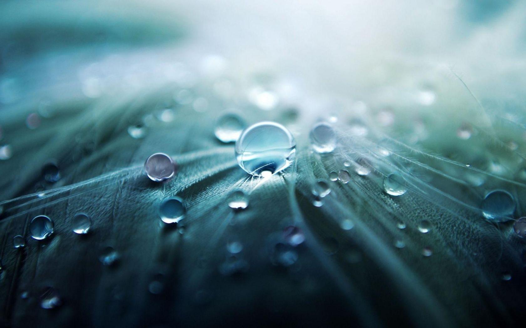 1680x1050 Free download Morning Dew Wallpaper [1920x1080] for your Desktop