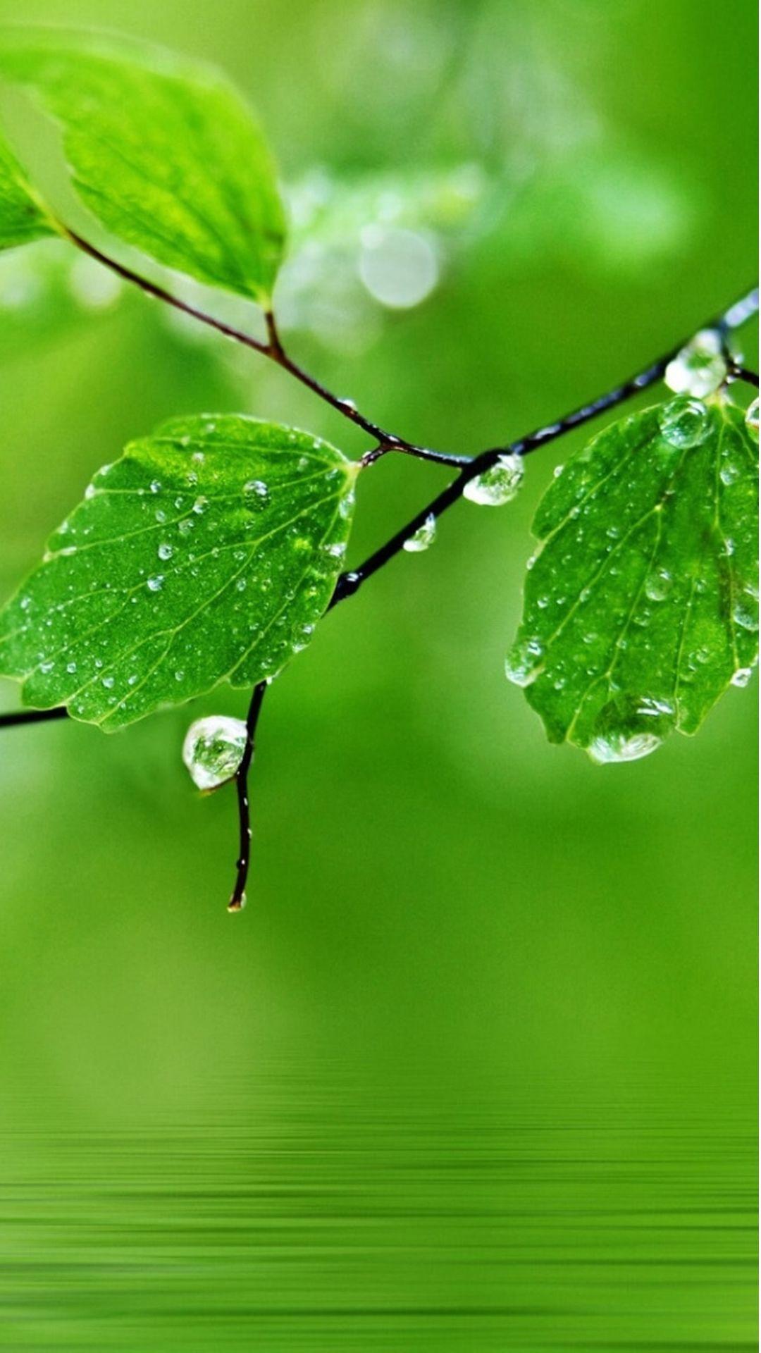 1080x1920 Best water iPhone 8 Wallpaper HD