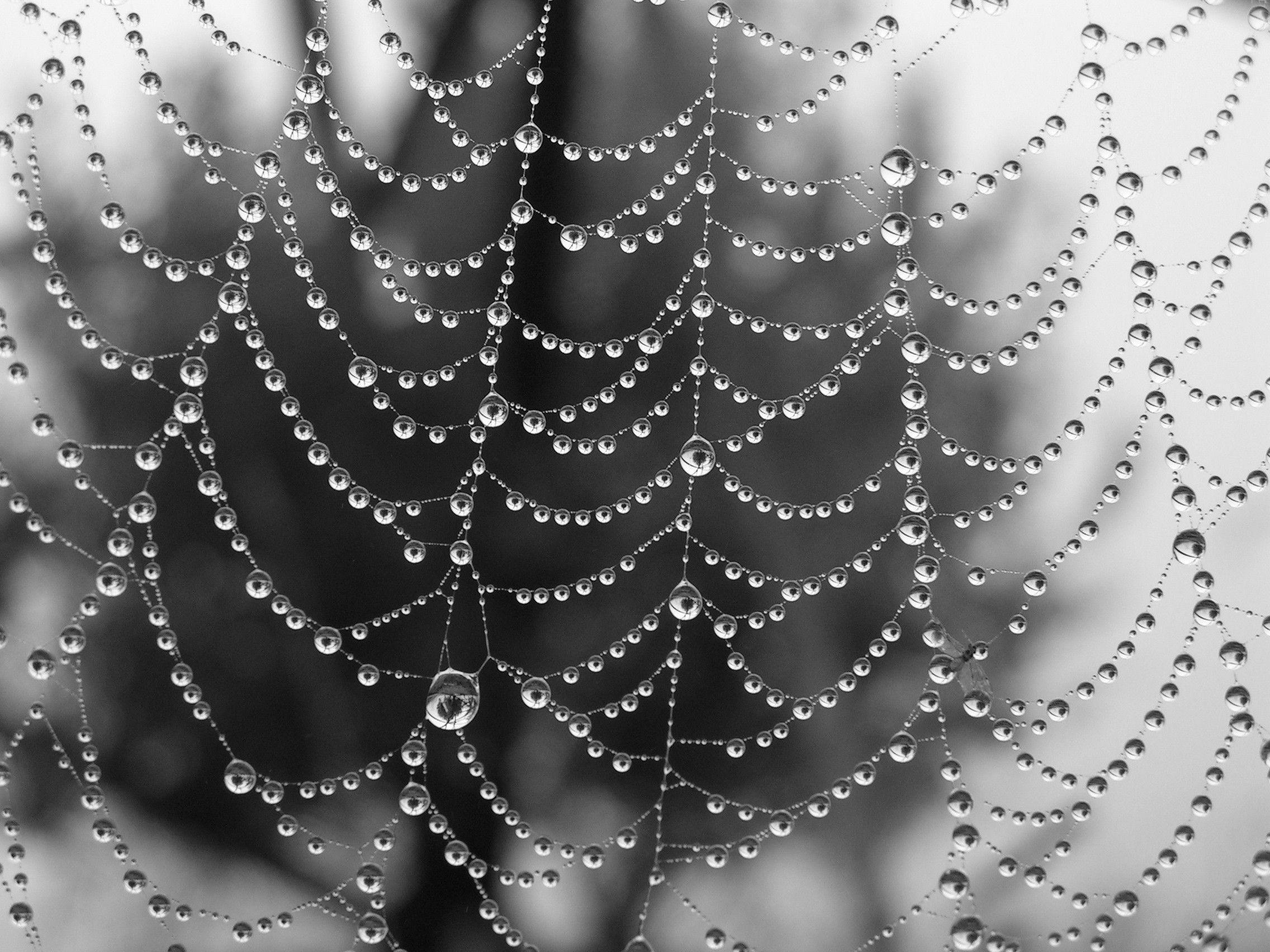 2272x1704 water, drop, textures, artwork, condensation, dew wallpaper