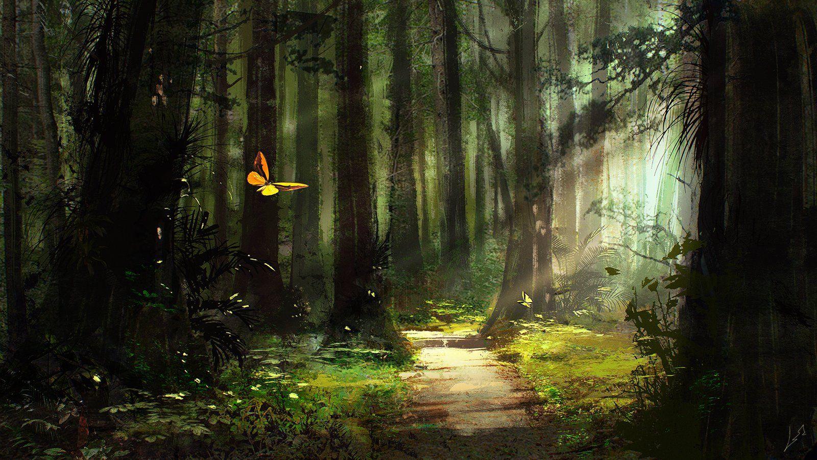 Hình nền 1600x900 Sunlight on Butterfly in Forest https://wallpaperaccess.com/full/3126535.jpg